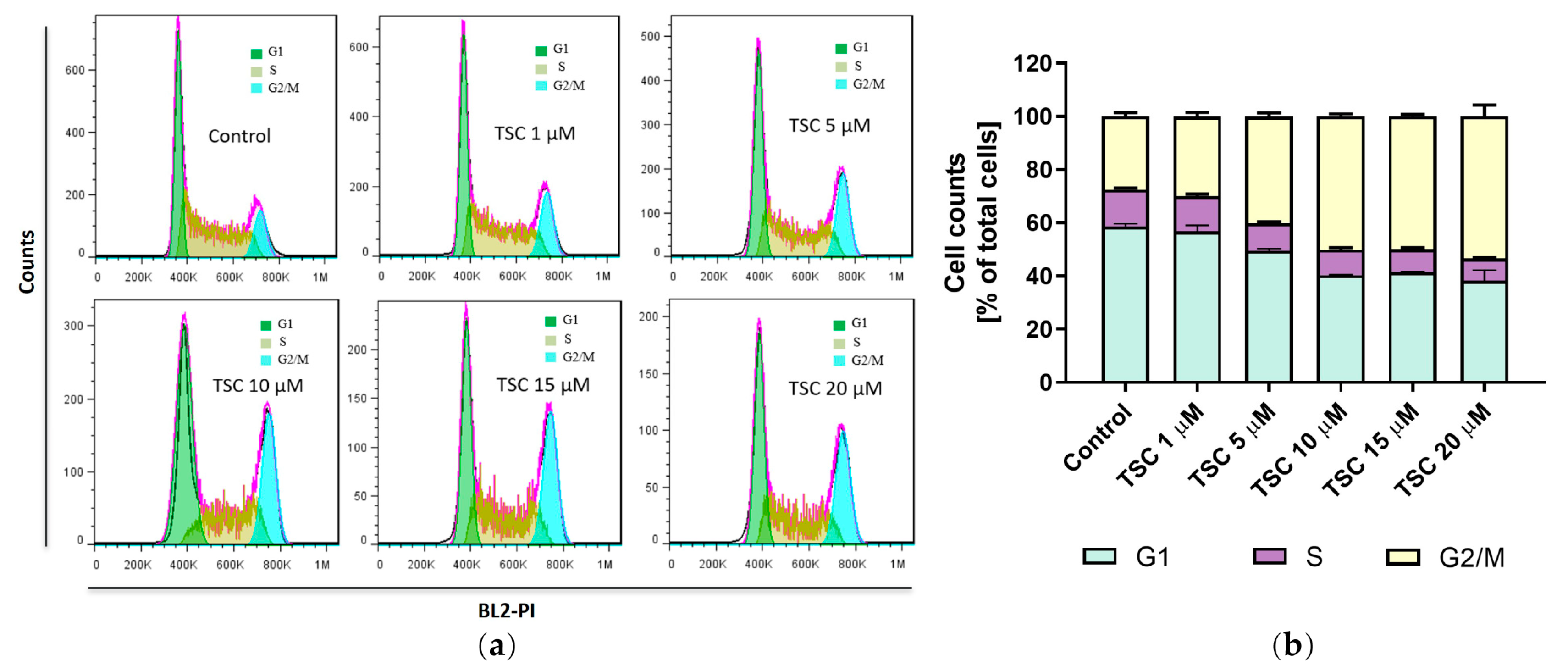 Pharmaceuticals 17 00425 g005