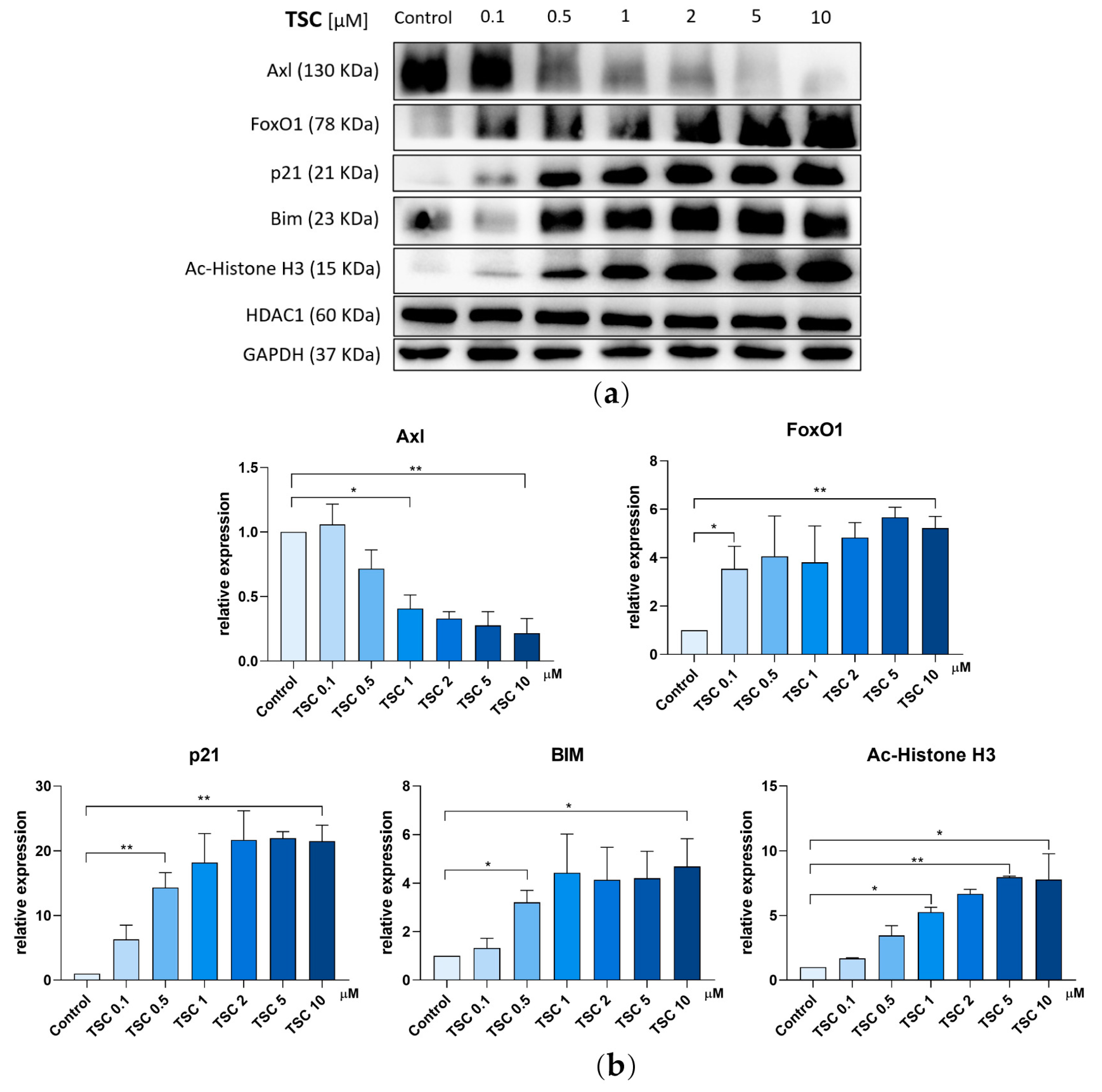 Pharmaceuticals 17 00425 g006
