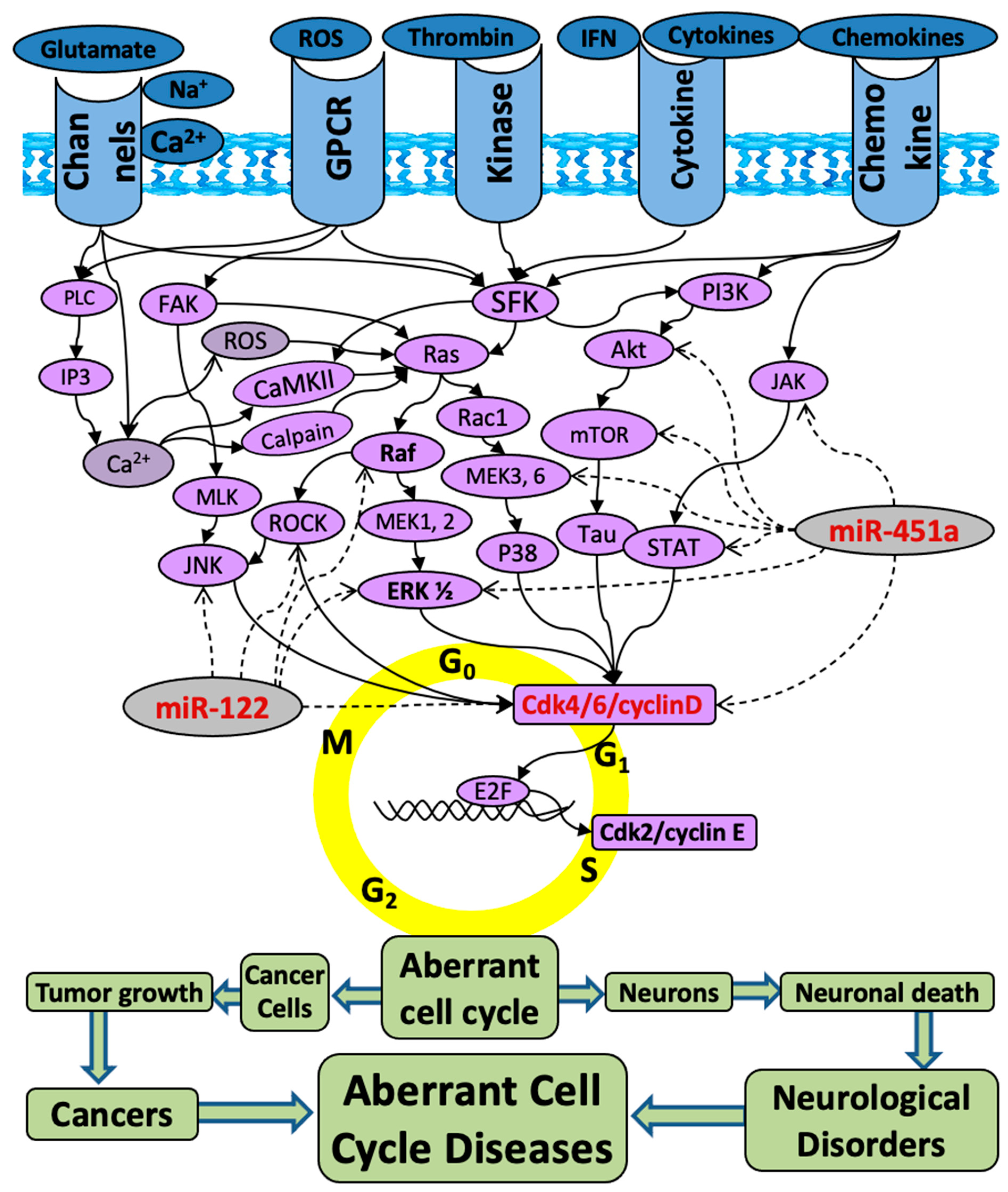 Pharmaceuticals 17 00426 g001
