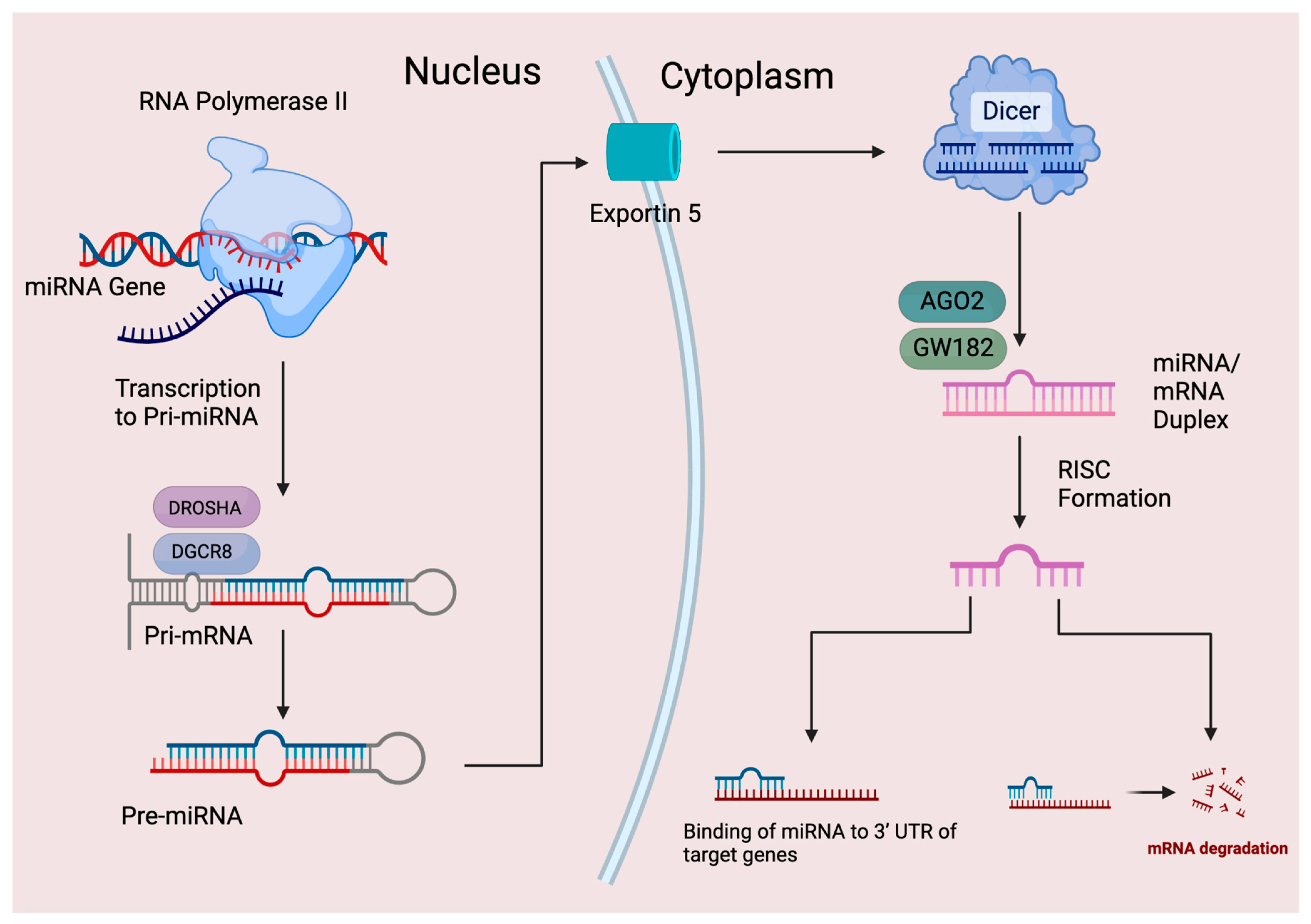 Pharmaceuticals 17 00426 g002