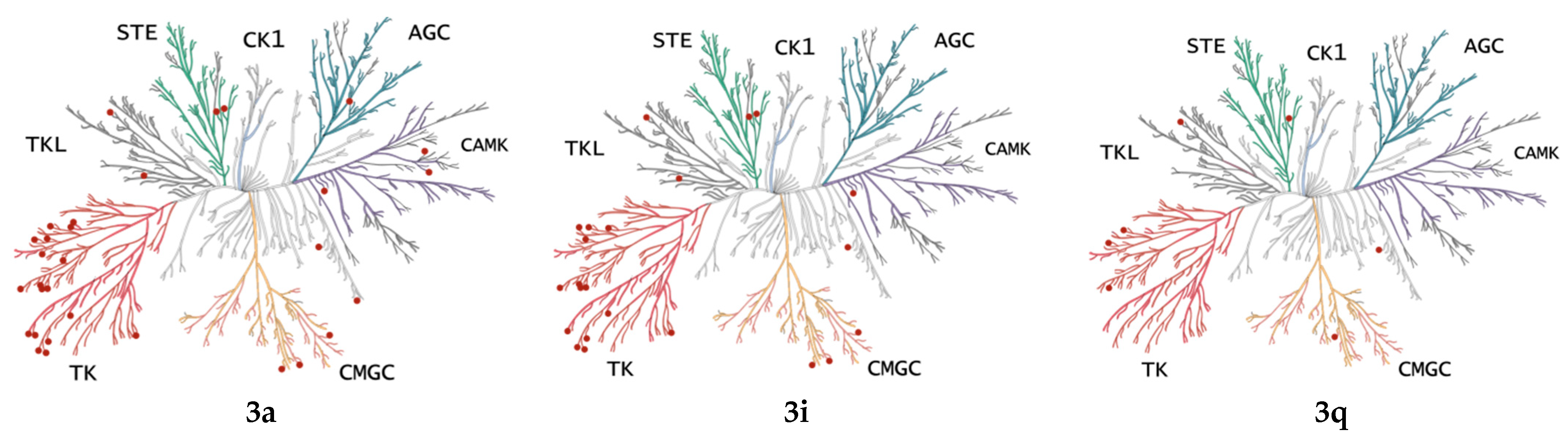 Pharmaceuticals 17 00427 g004