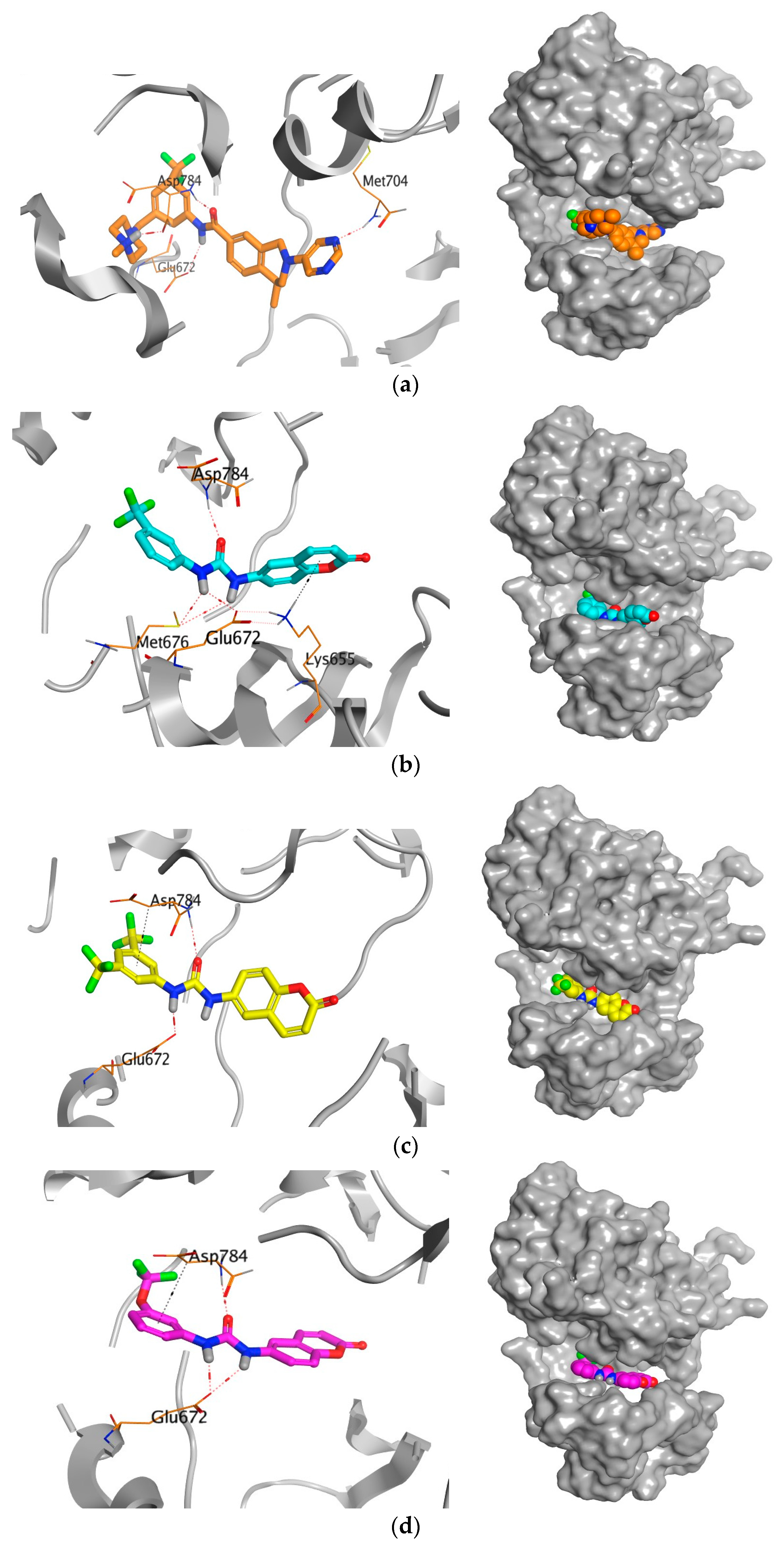 Pharmaceuticals 17 00427 g006