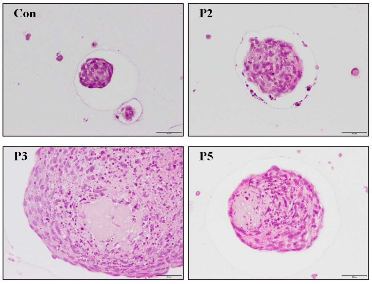 Pharmaceuticals 17 00434 g004 Pharmaceuticals 17 00434 g004