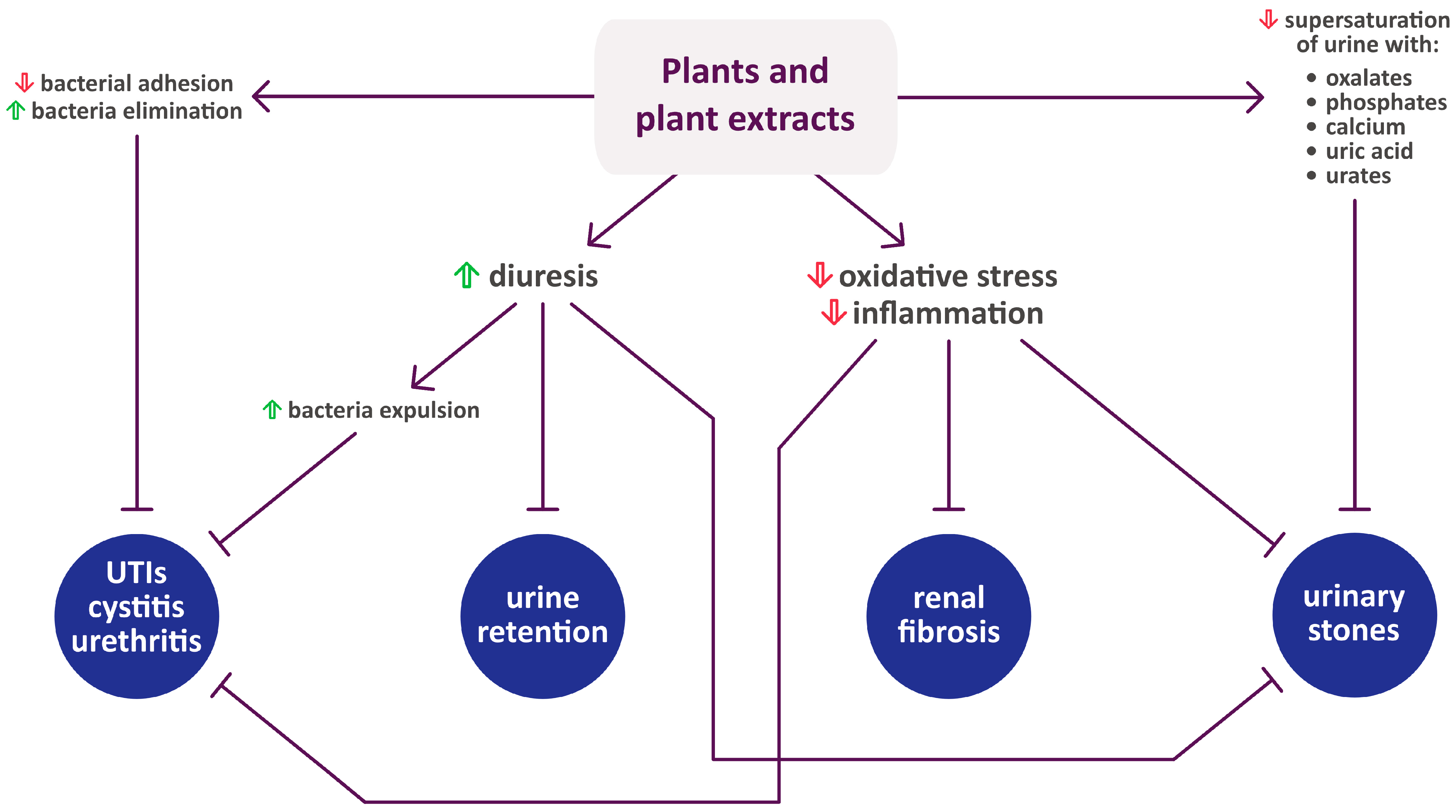 Pharmaceuticals 17 00435 g002