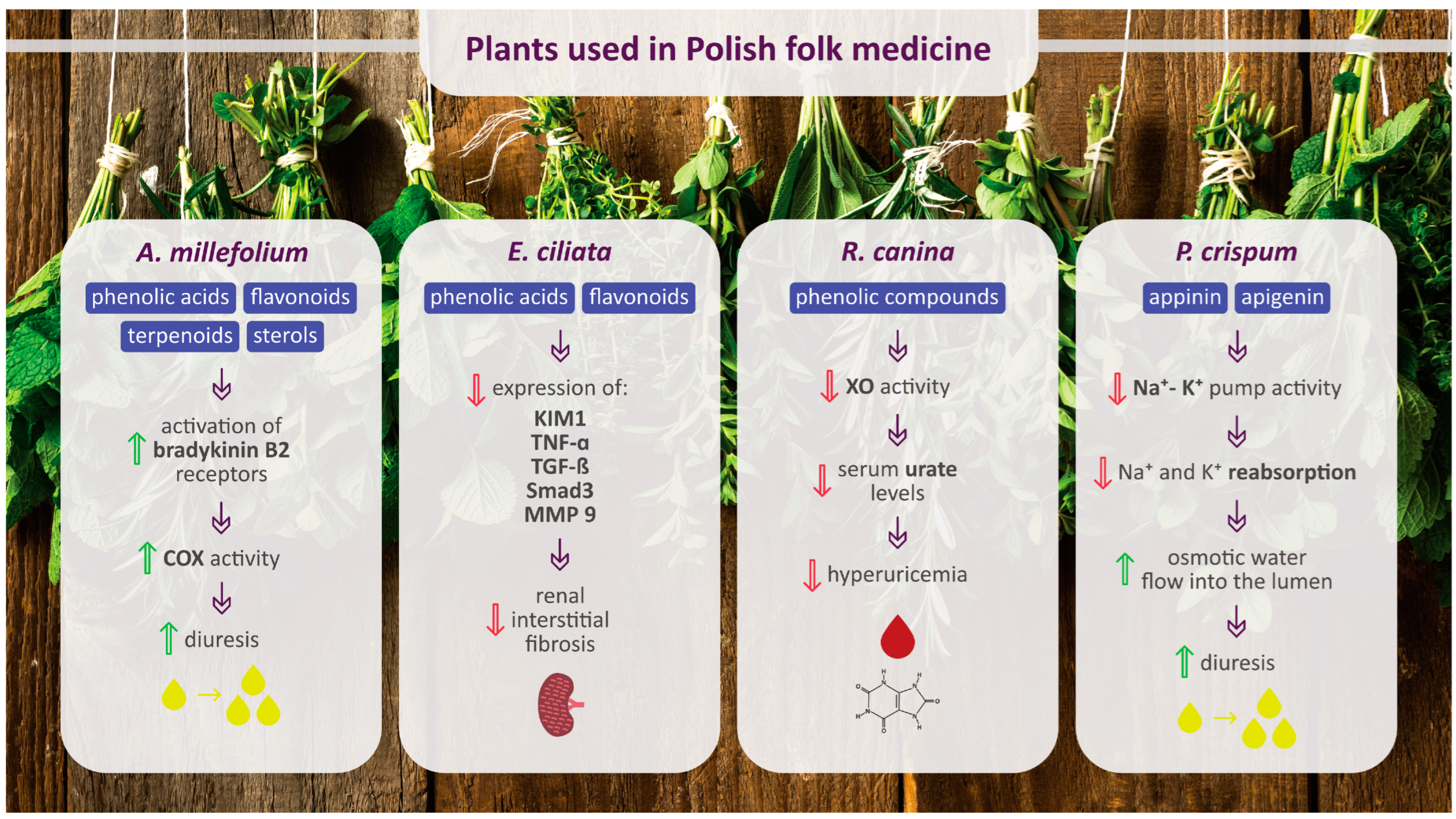 Pharmaceuticals 17 00435 g003