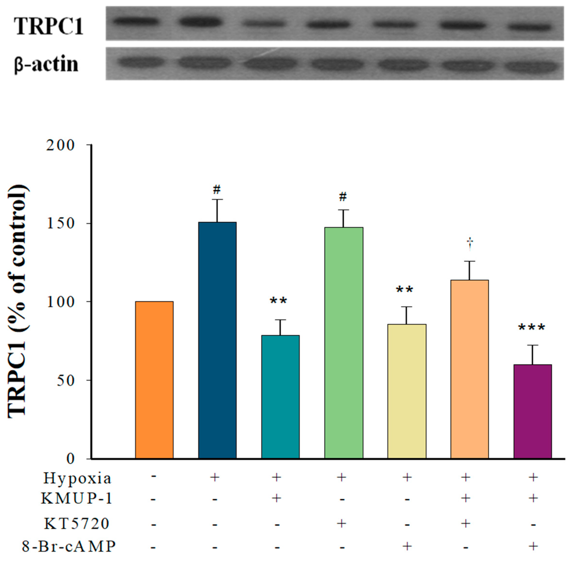 Pharmaceuticals 17 00440 g003
