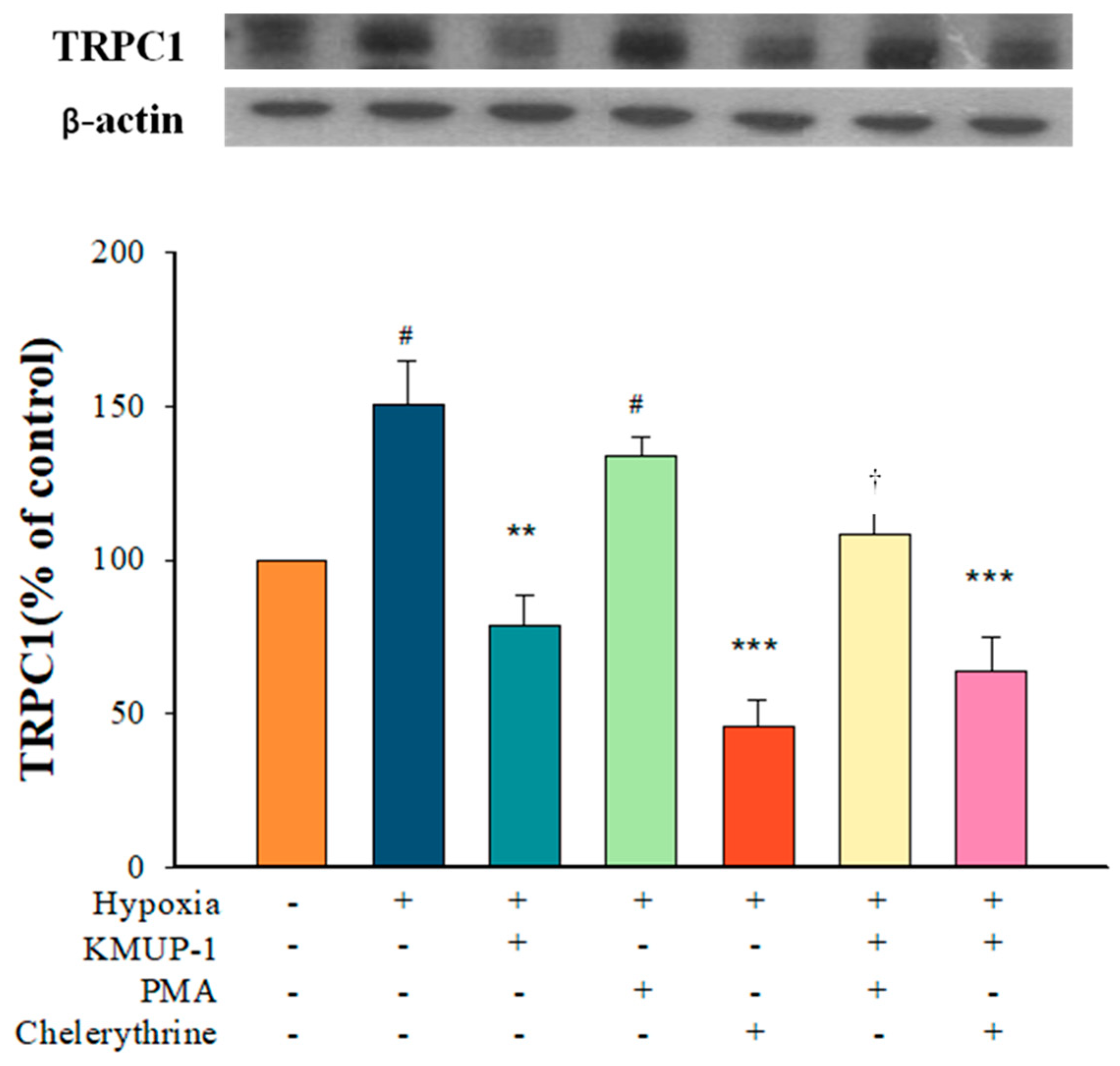 Pharmaceuticals 17 00440 g004