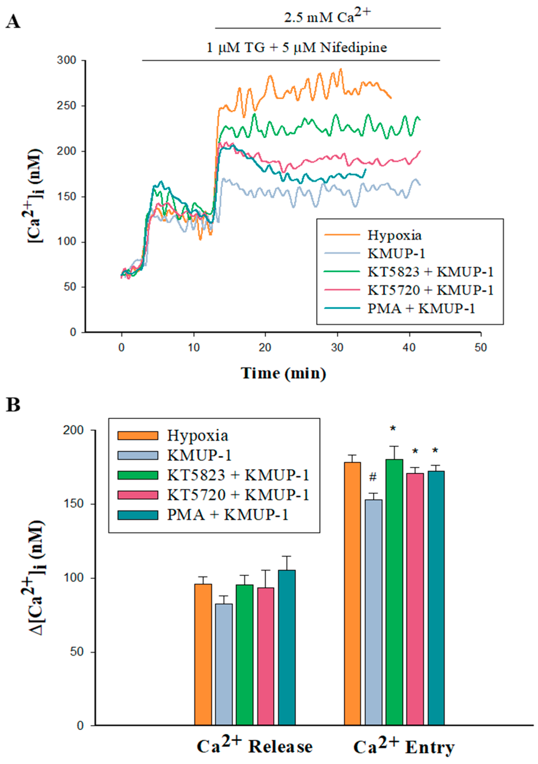 Pharmaceuticals 17 00440 g007
