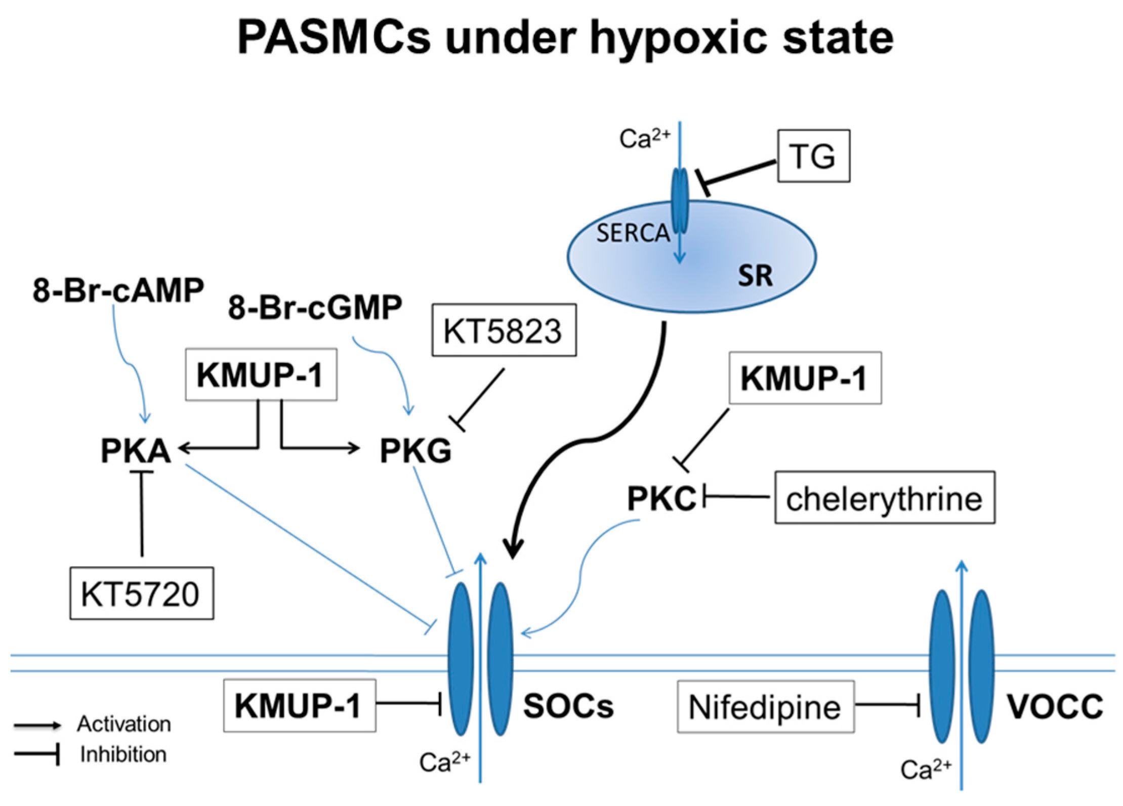 Pharmaceuticals 17 00440 g008