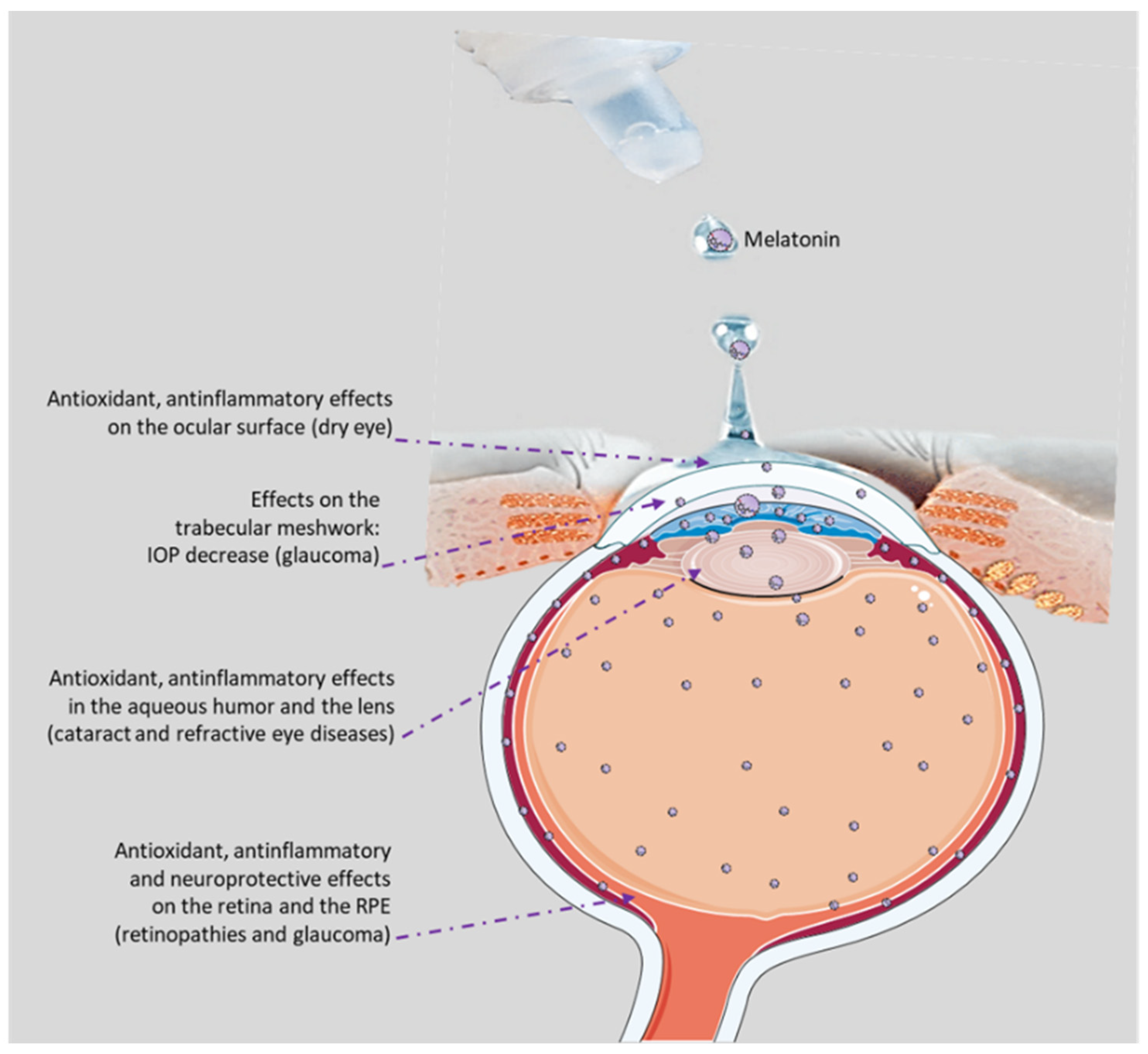 Pharmaceuticals 17 00441 g002 Pharmaceuticals 17 00441 g002