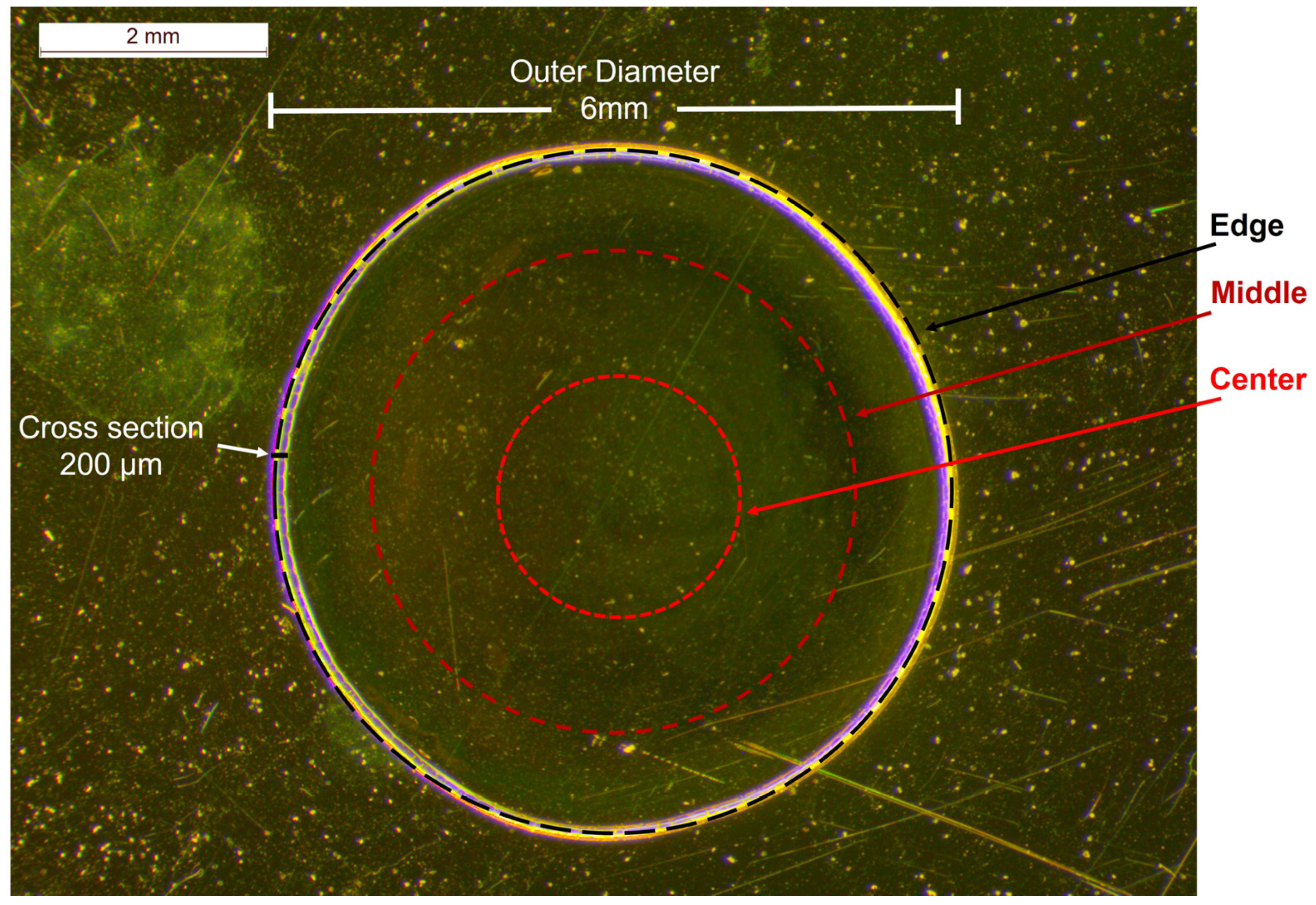 Pharmaceuticals 17 00446 g002