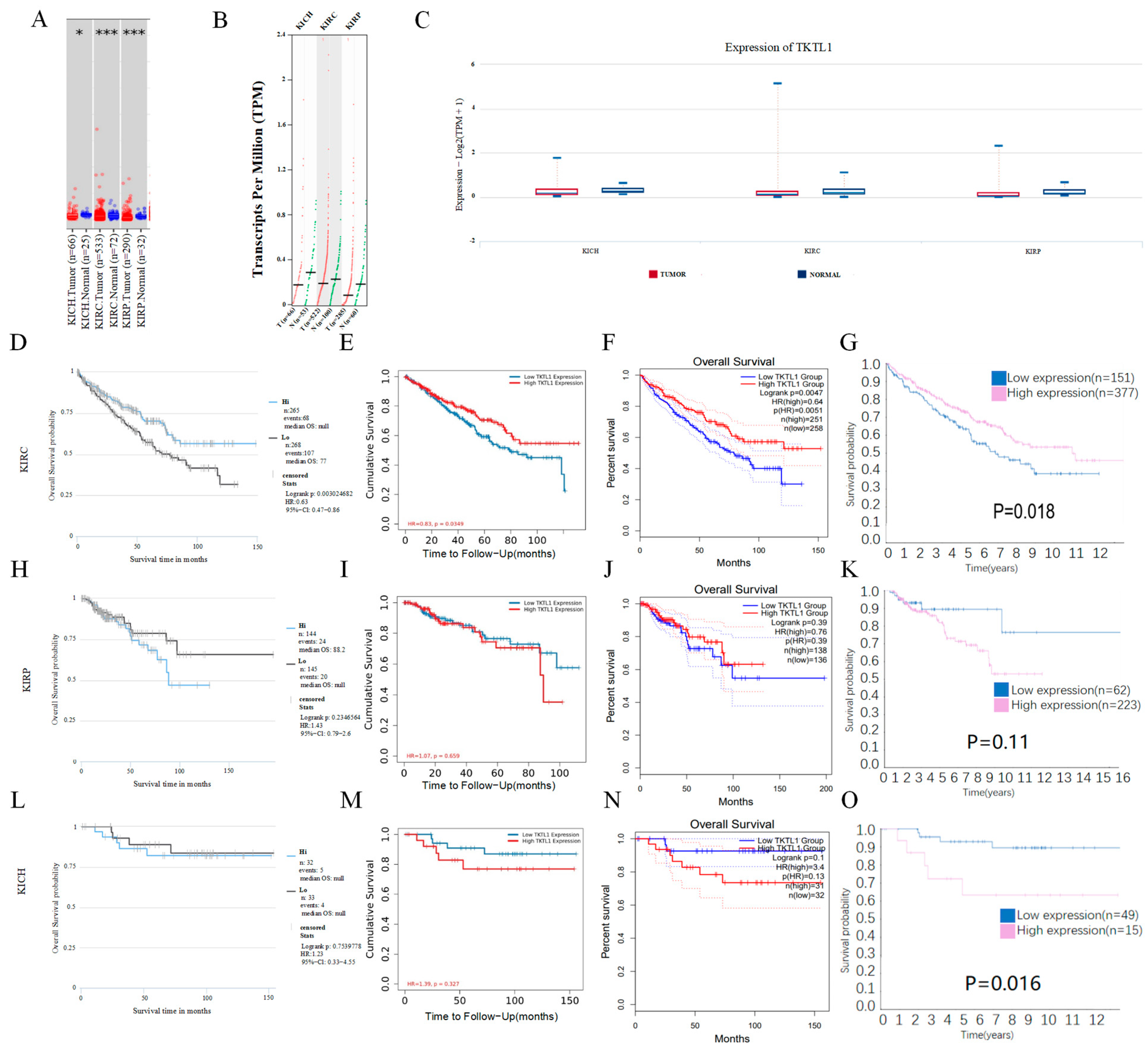 Pharmaceuticals 17 00451 g001