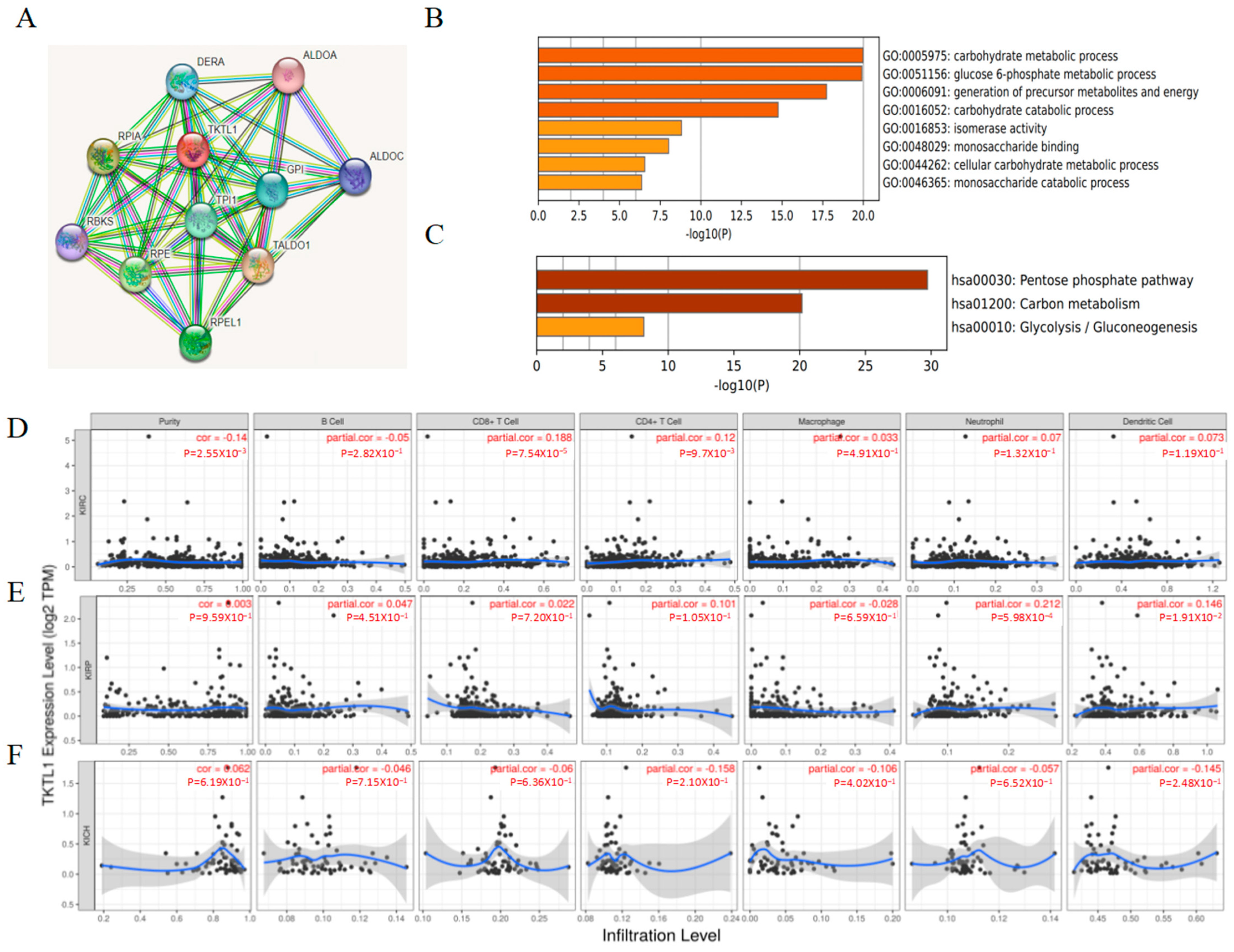 Pharmaceuticals 17 00451 g002