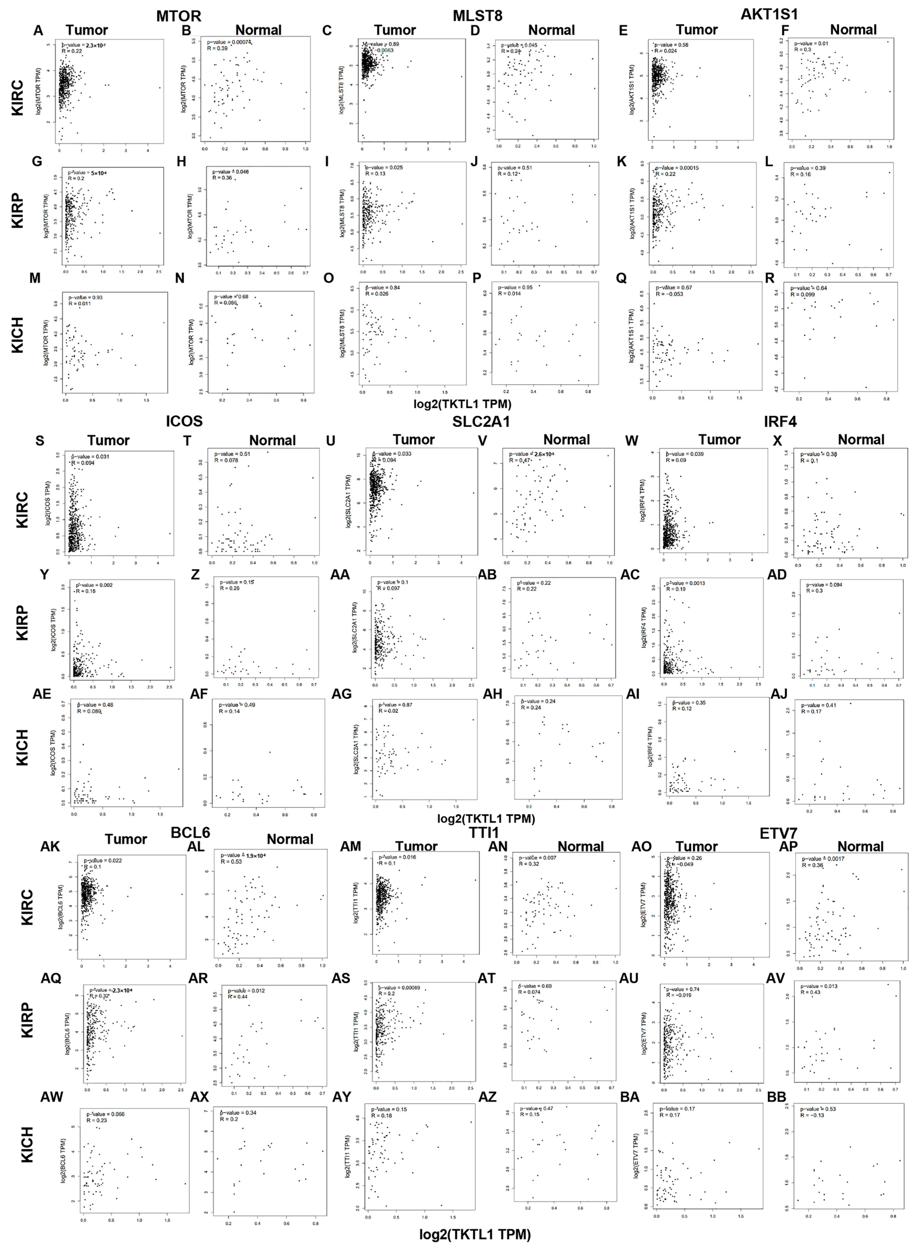 Pharmaceuticals 17 00451 g003