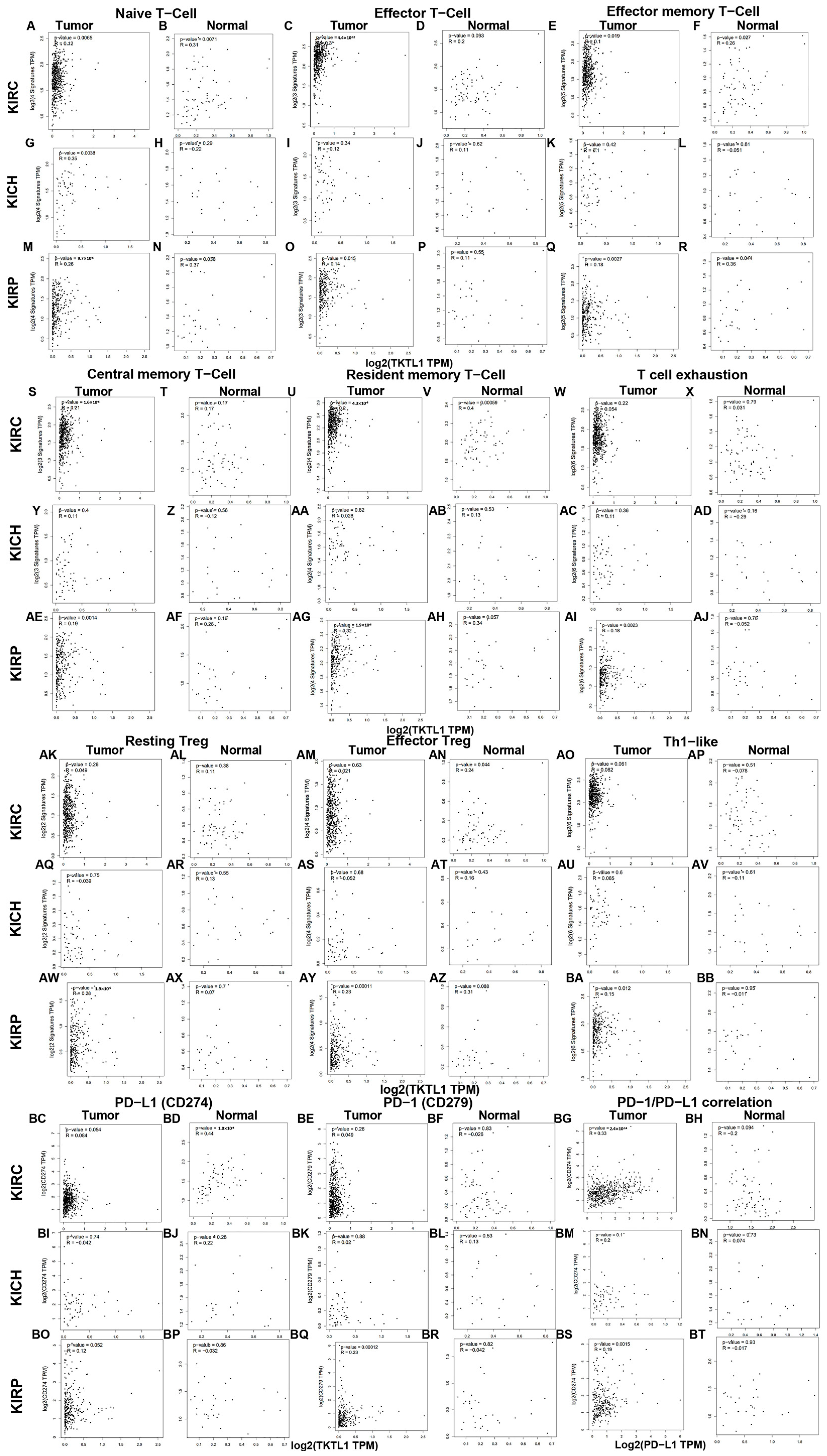 Pharmaceuticals 17 00451 g004