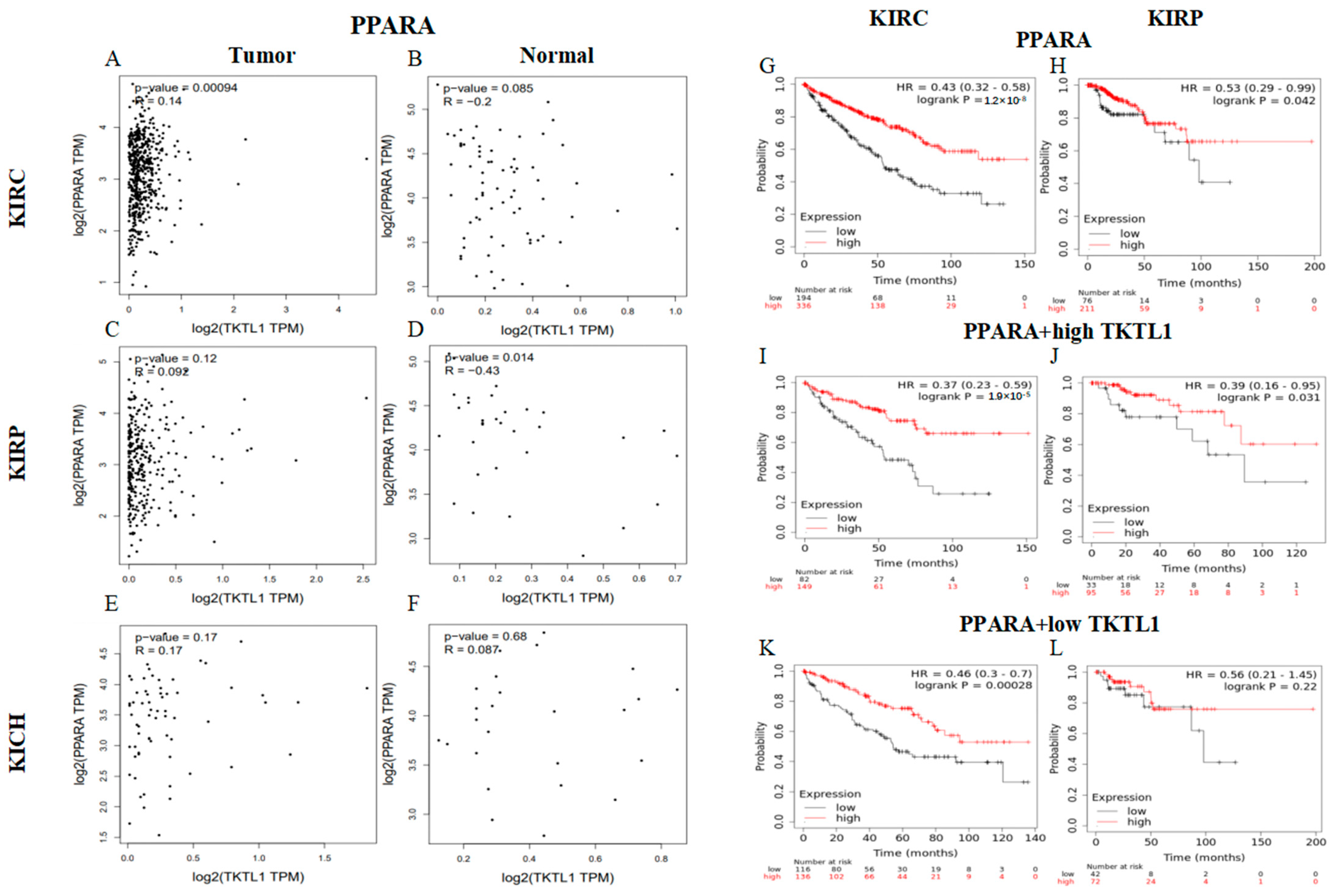 Pharmaceuticals 17 00451 g006