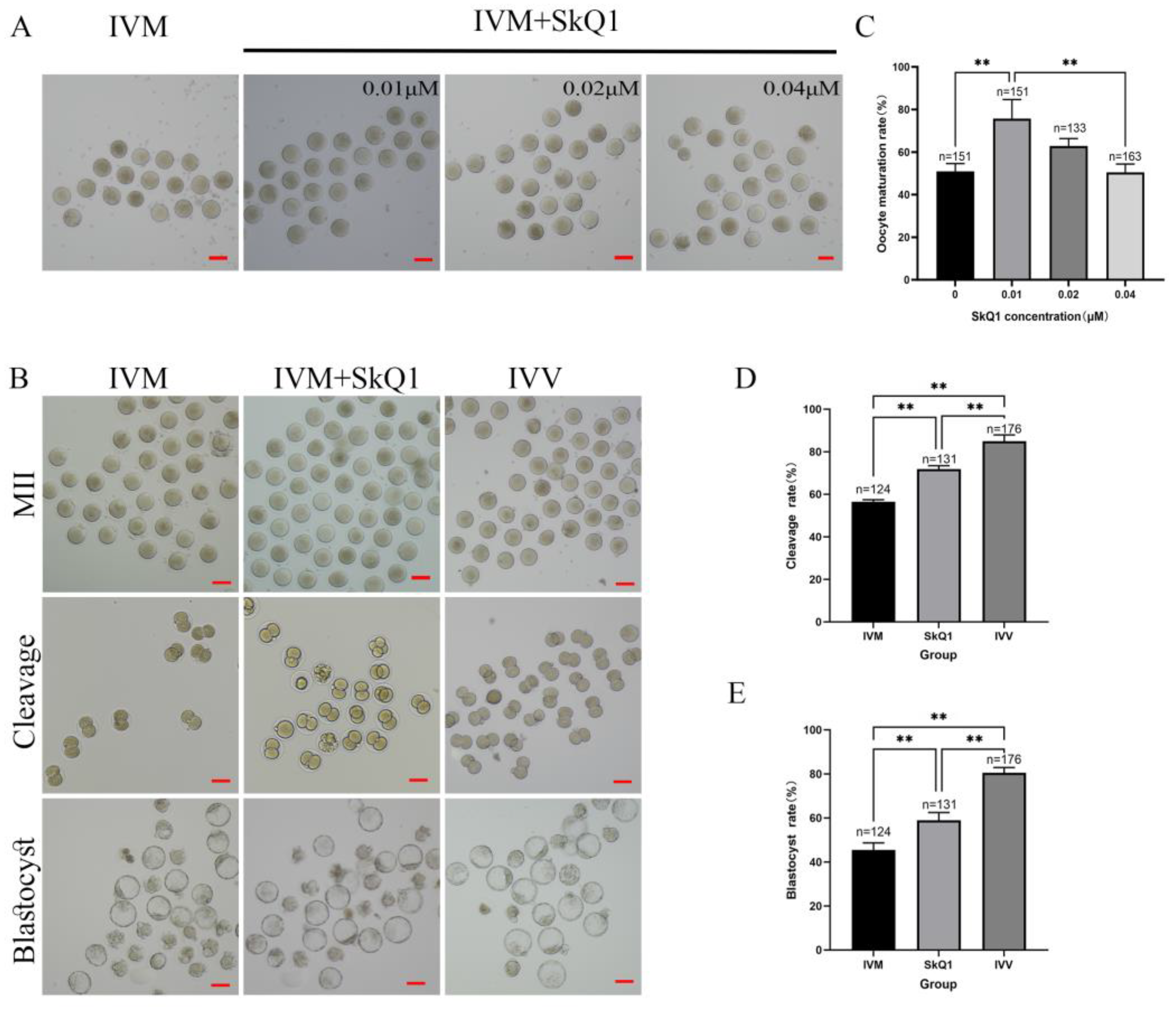 Pharmaceuticals 17 00455 g001