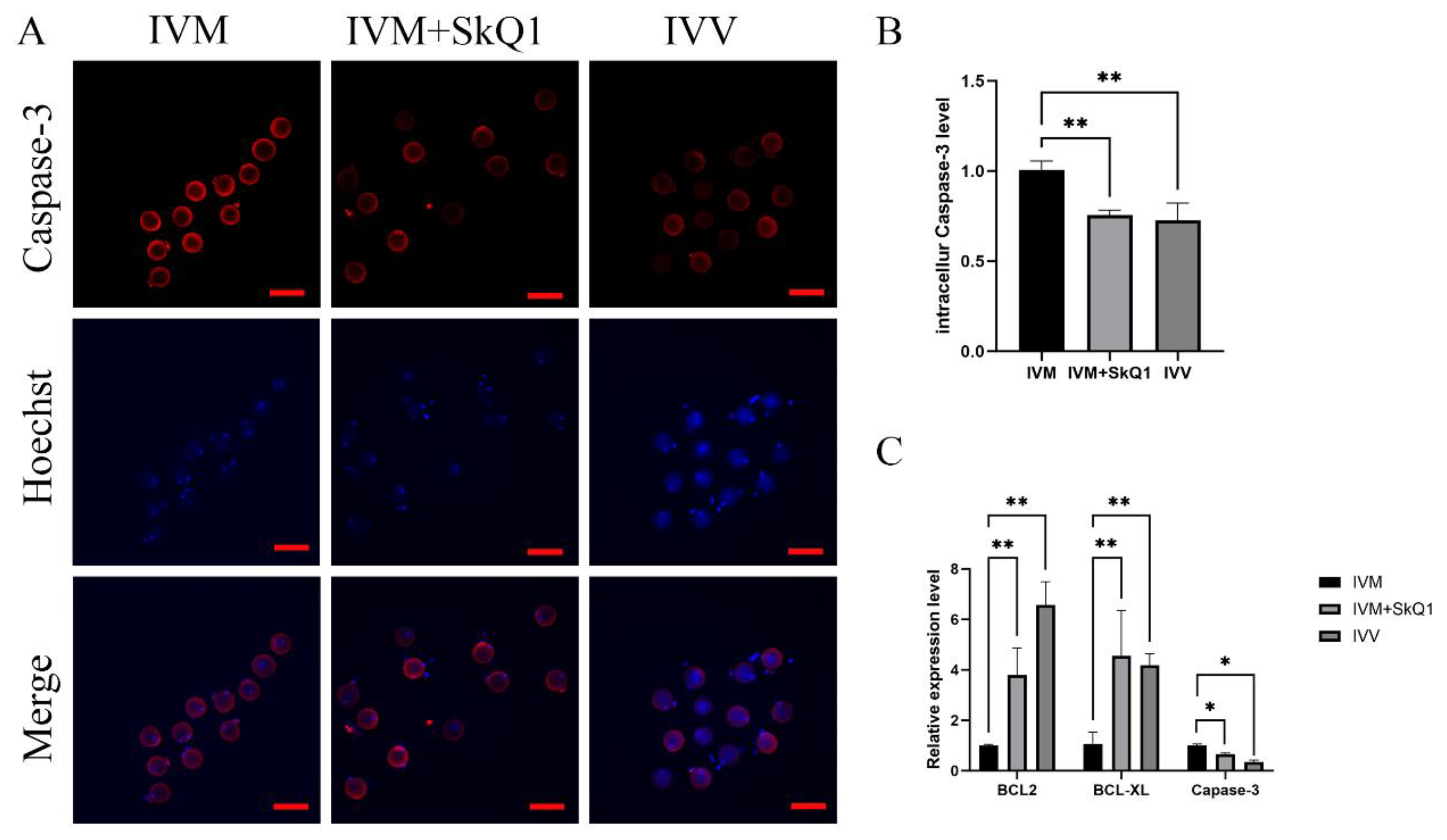 Pharmaceuticals 17 00455 g004