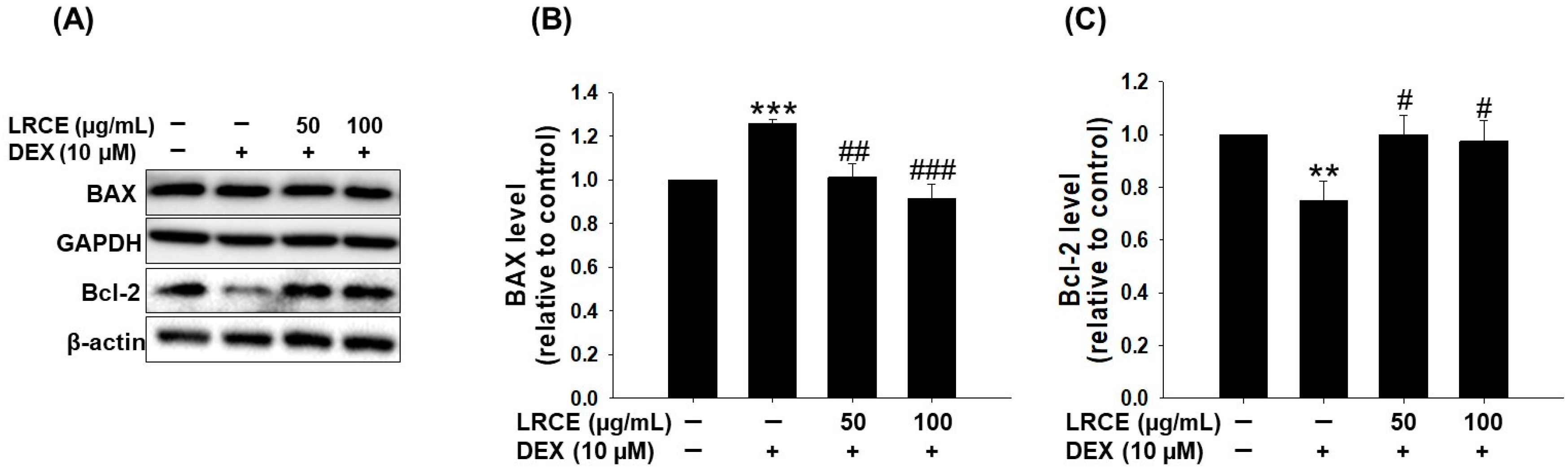 Pharmaceuticals 17 00462 g005