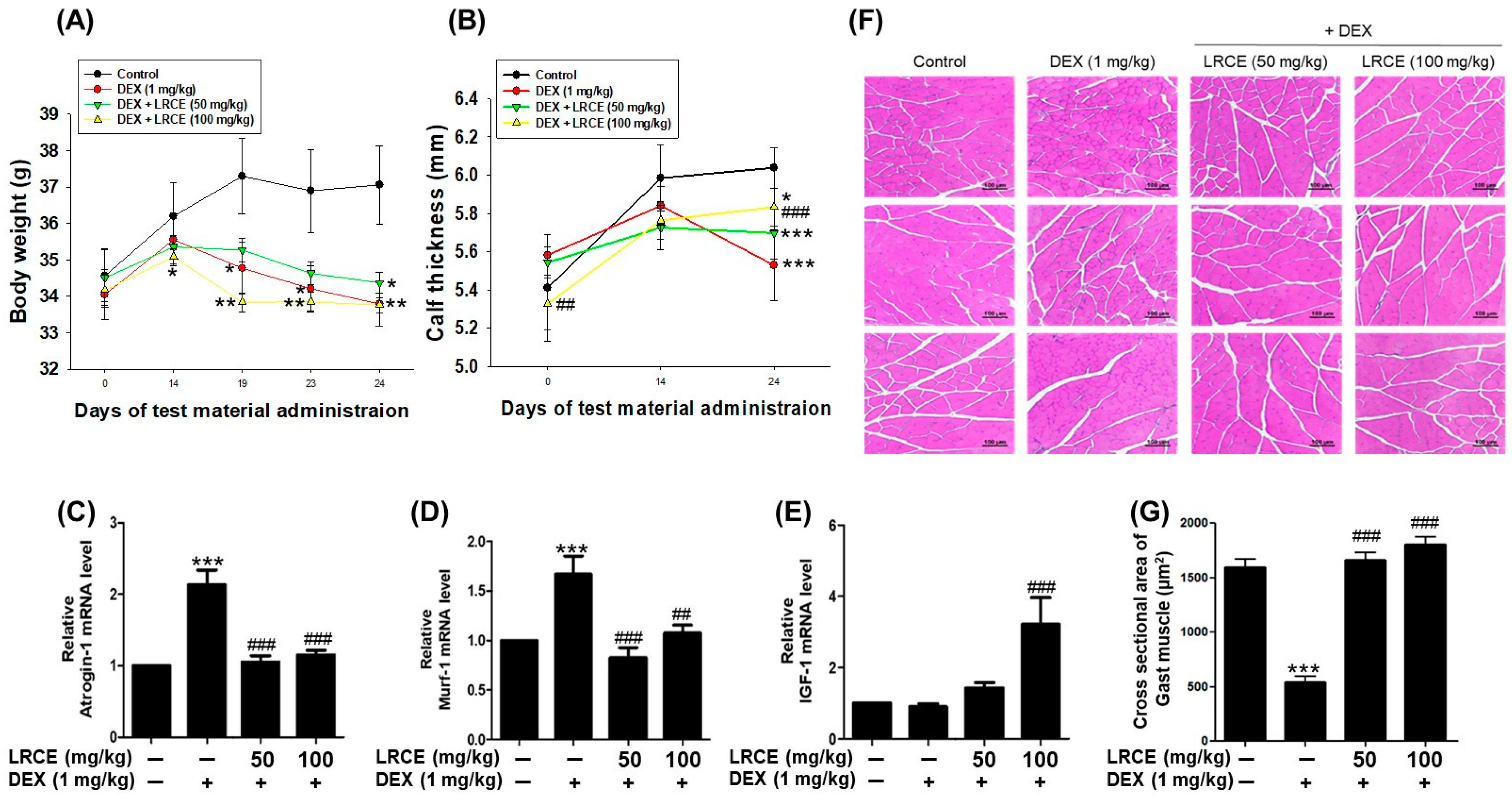 Pharmaceuticals 17 00462 g007