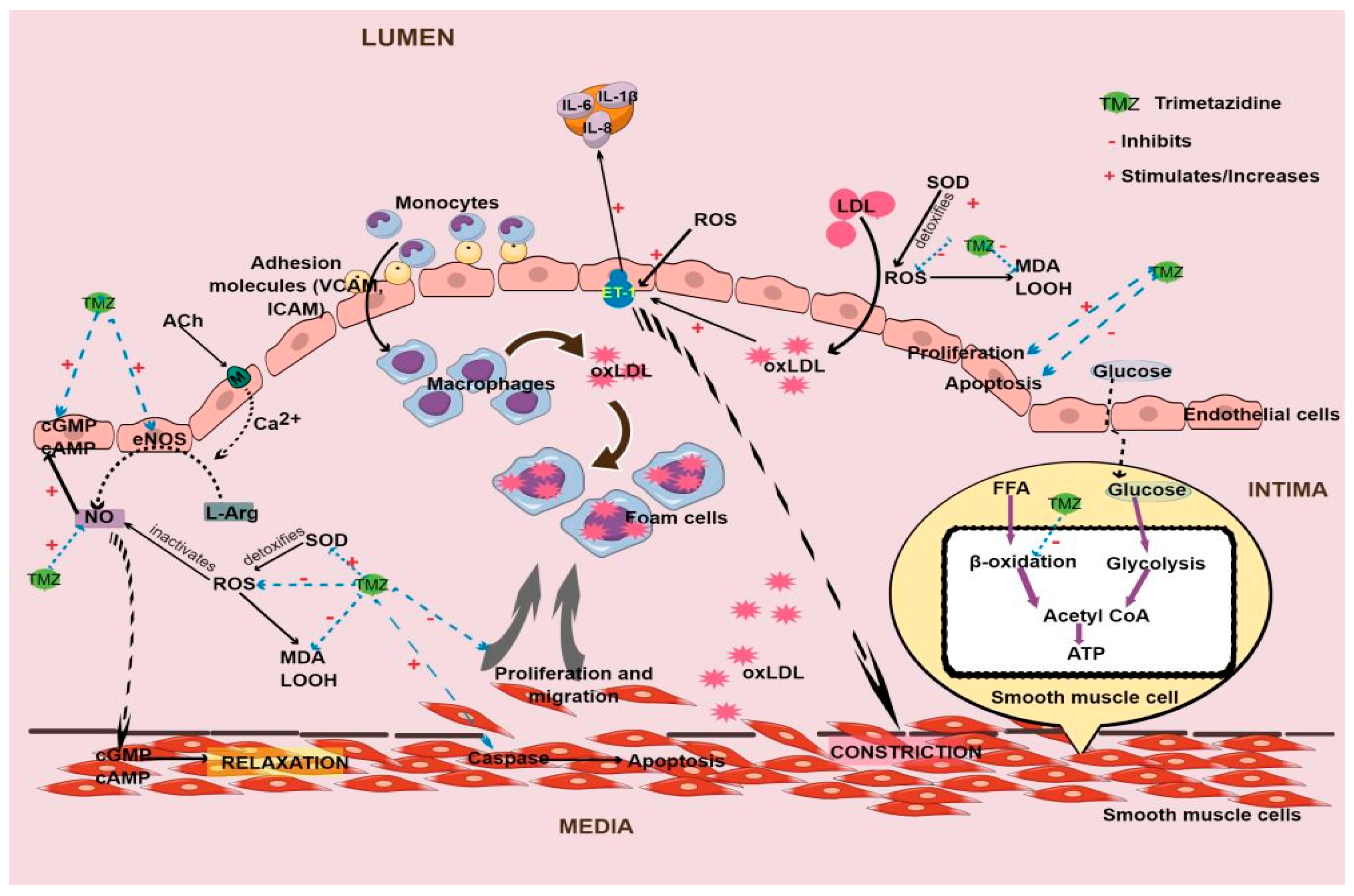 Pharmaceuticals 17 00464 g002