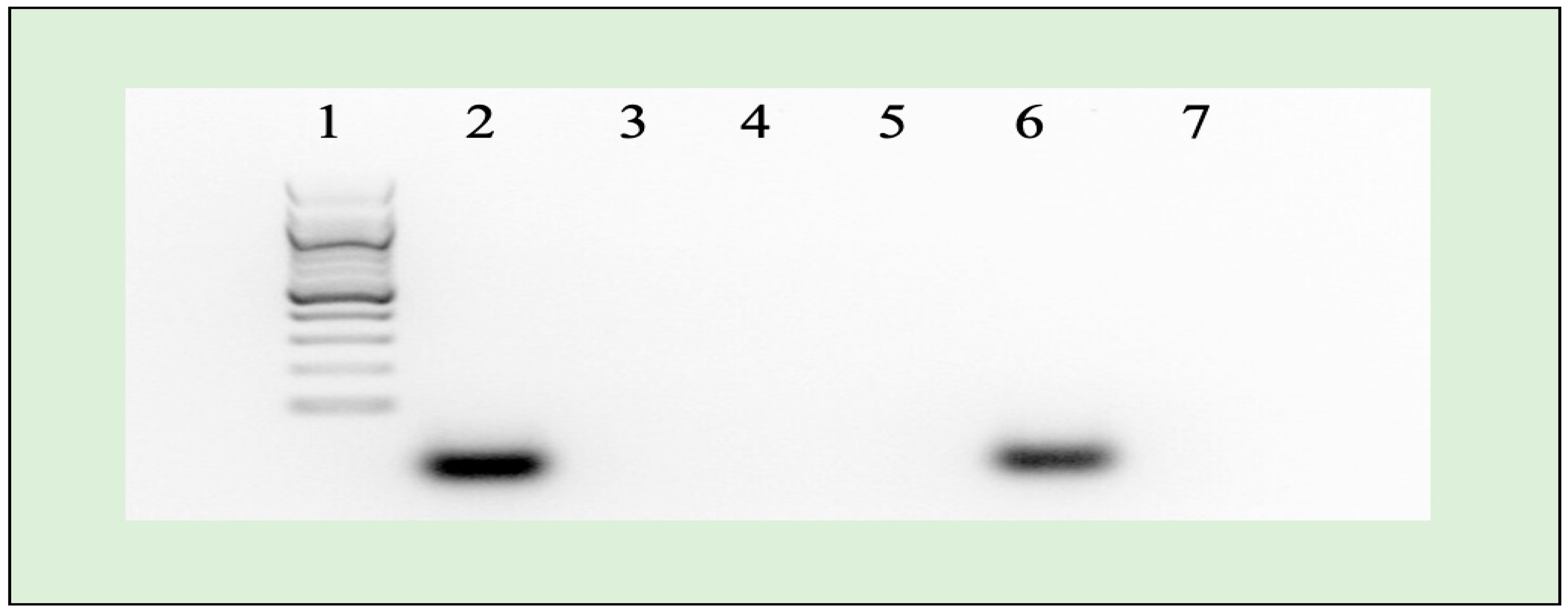 Pharmaceuticals 17 00466 g003 Pharmaceuticals 17 00466 g003