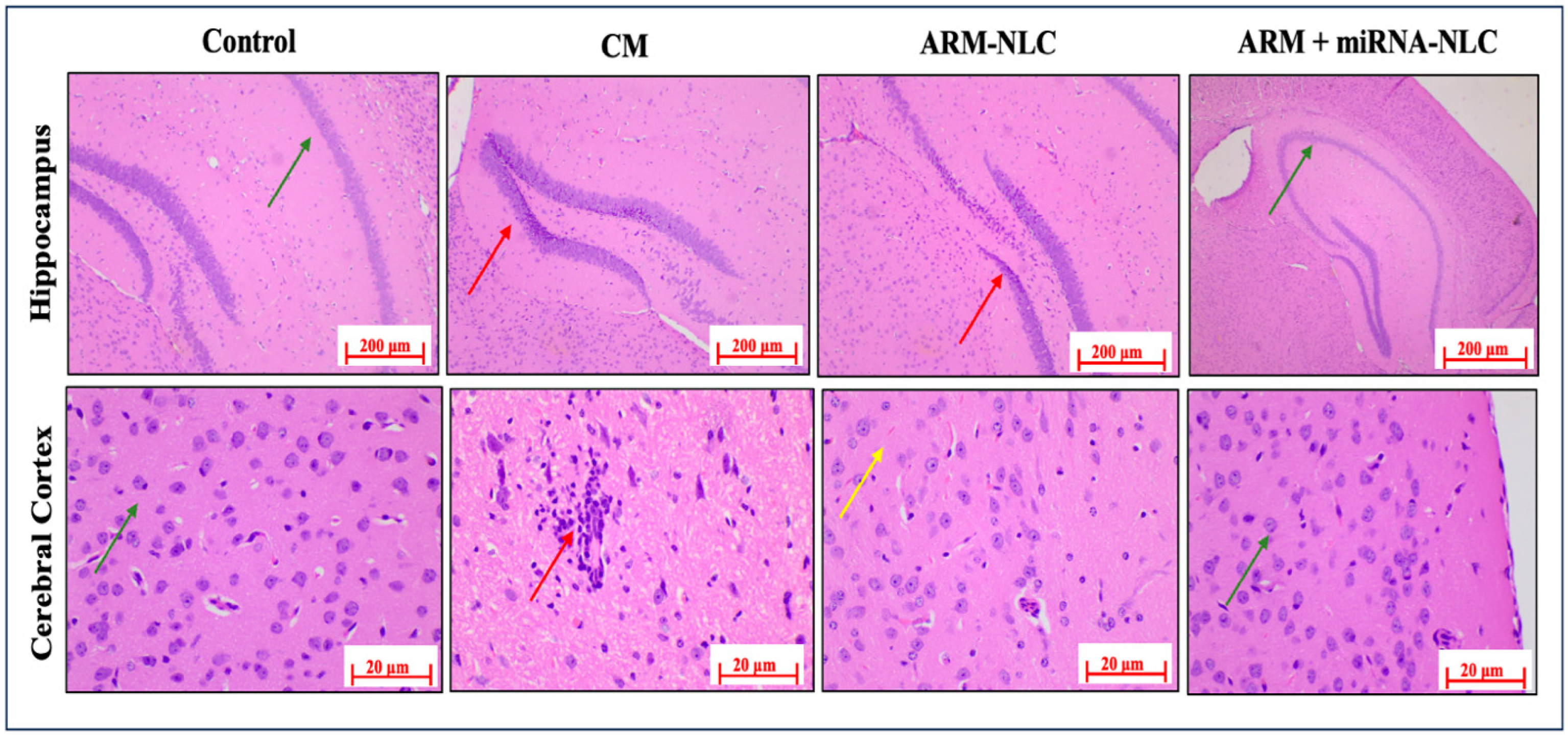 Pharmaceuticals 17 00466 g007 Pharmaceuticals 17 00466 g007