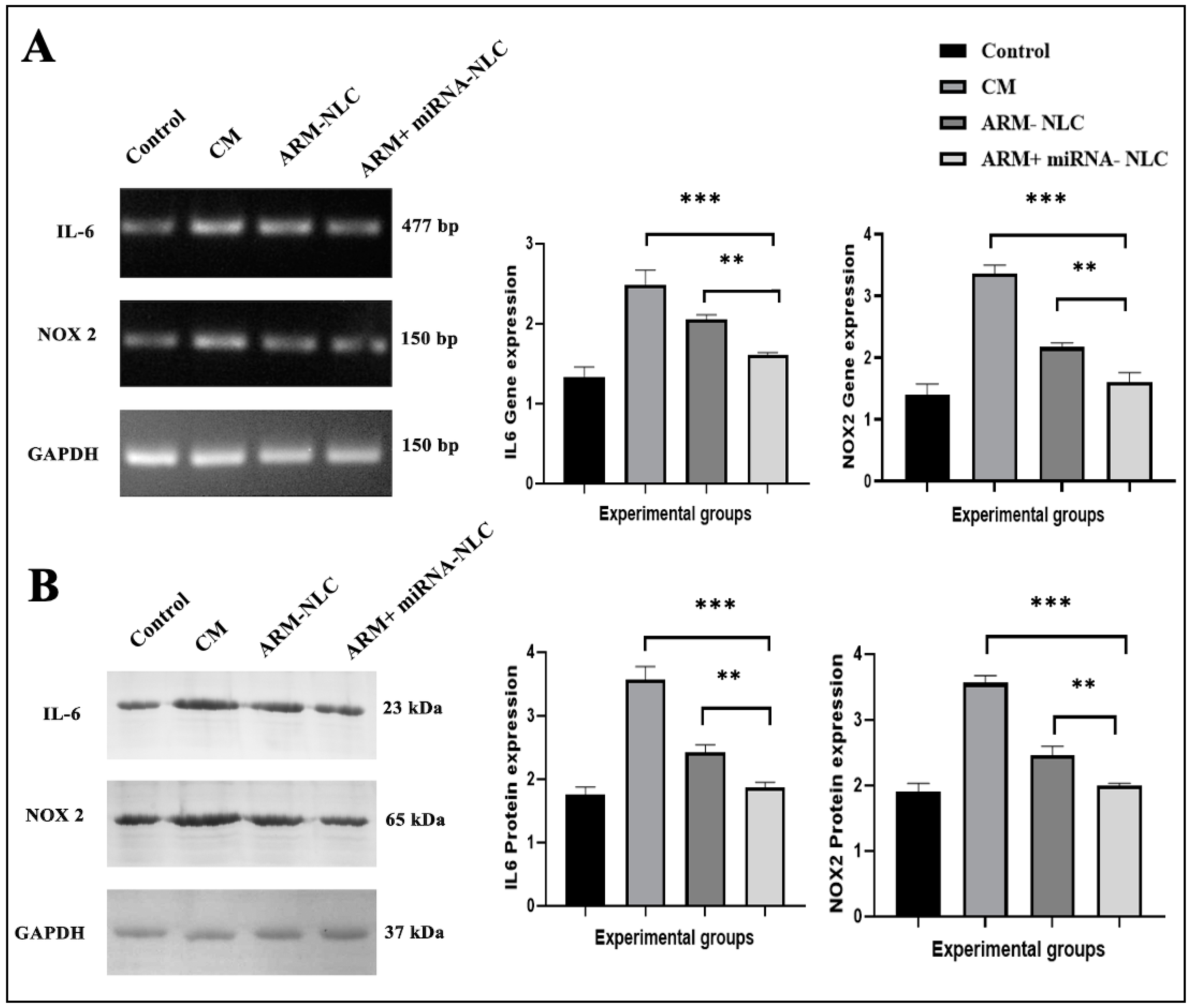 Pharmaceuticals 17 00466 g008 Pharmaceuticals 17 00466 g008