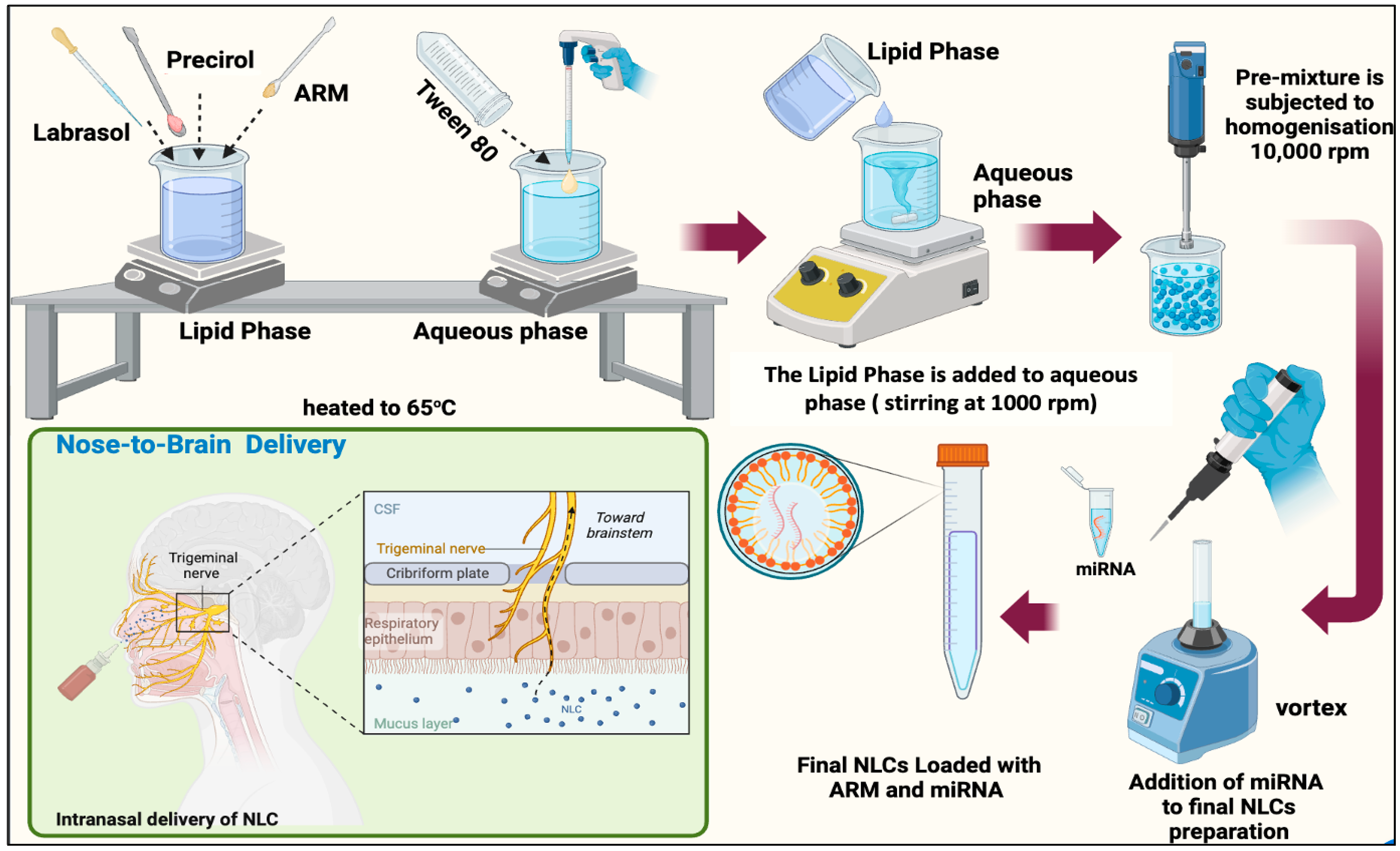 Pharmaceuticals 17 00466 g009 Pharmaceuticals 17 00466 g009