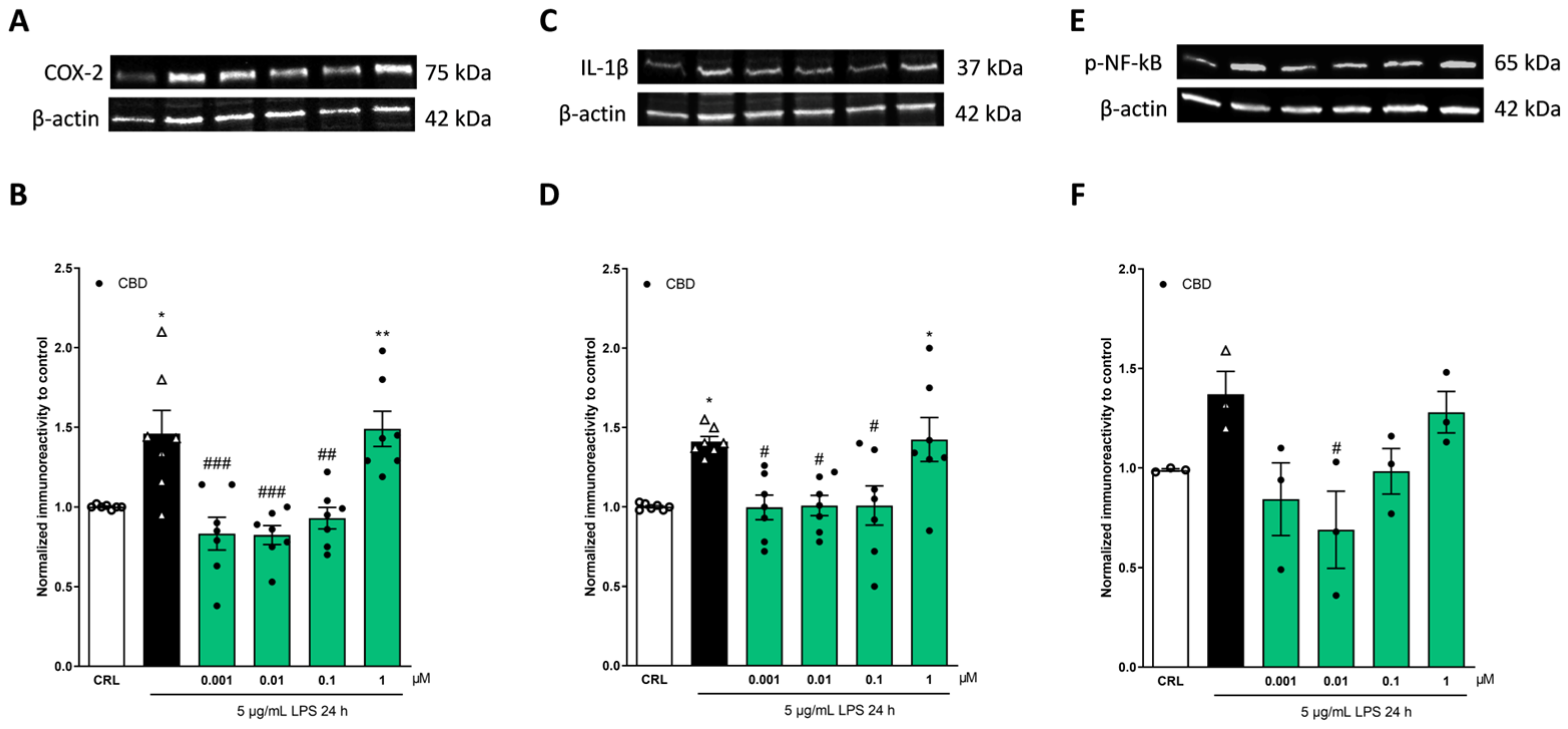 Pharmaceuticals 17 00467 g002
