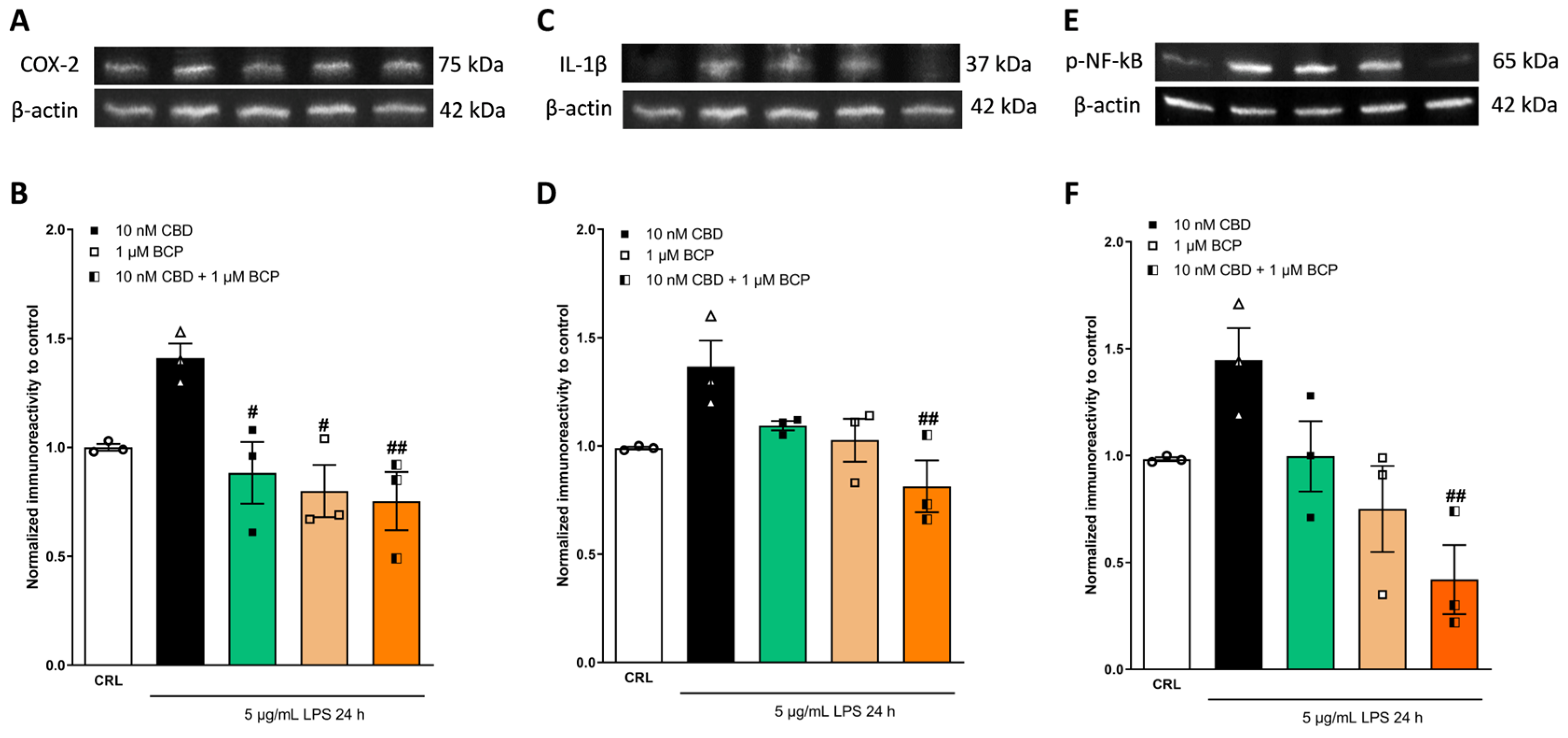 Pharmaceuticals 17 00467 g008