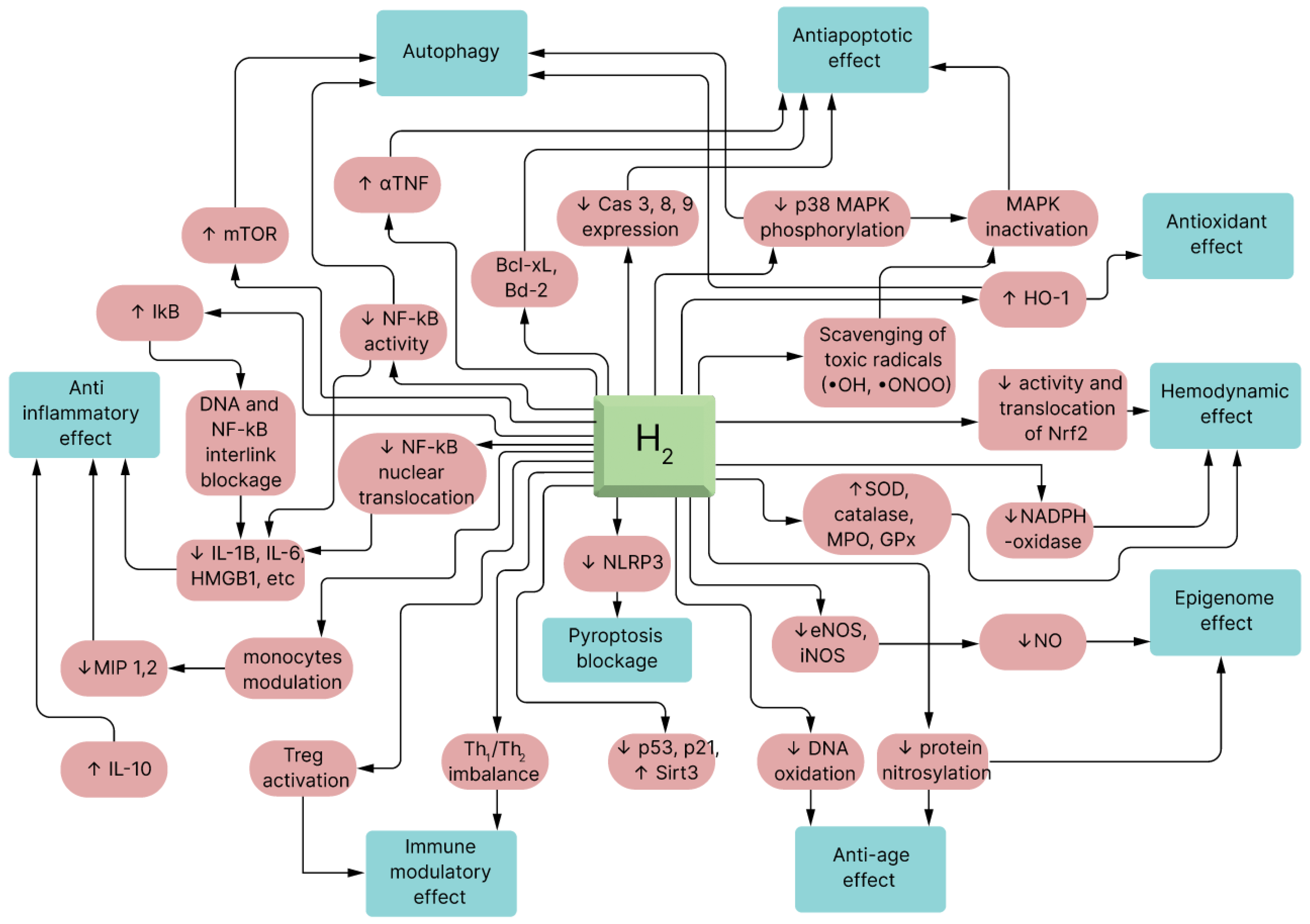 Pharmaceuticals 17 00469 g004
