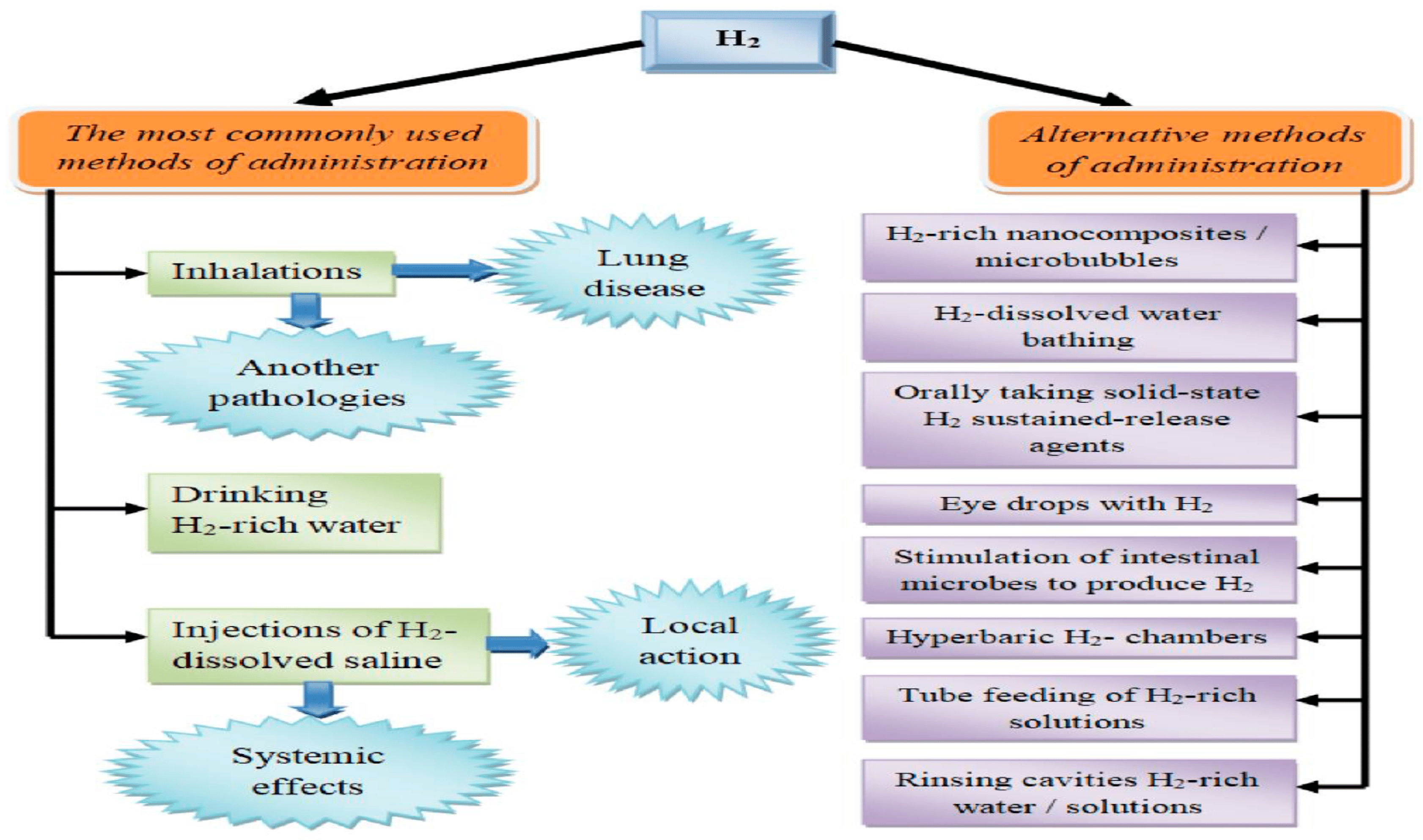 Pharmaceuticals 17 00469 g005