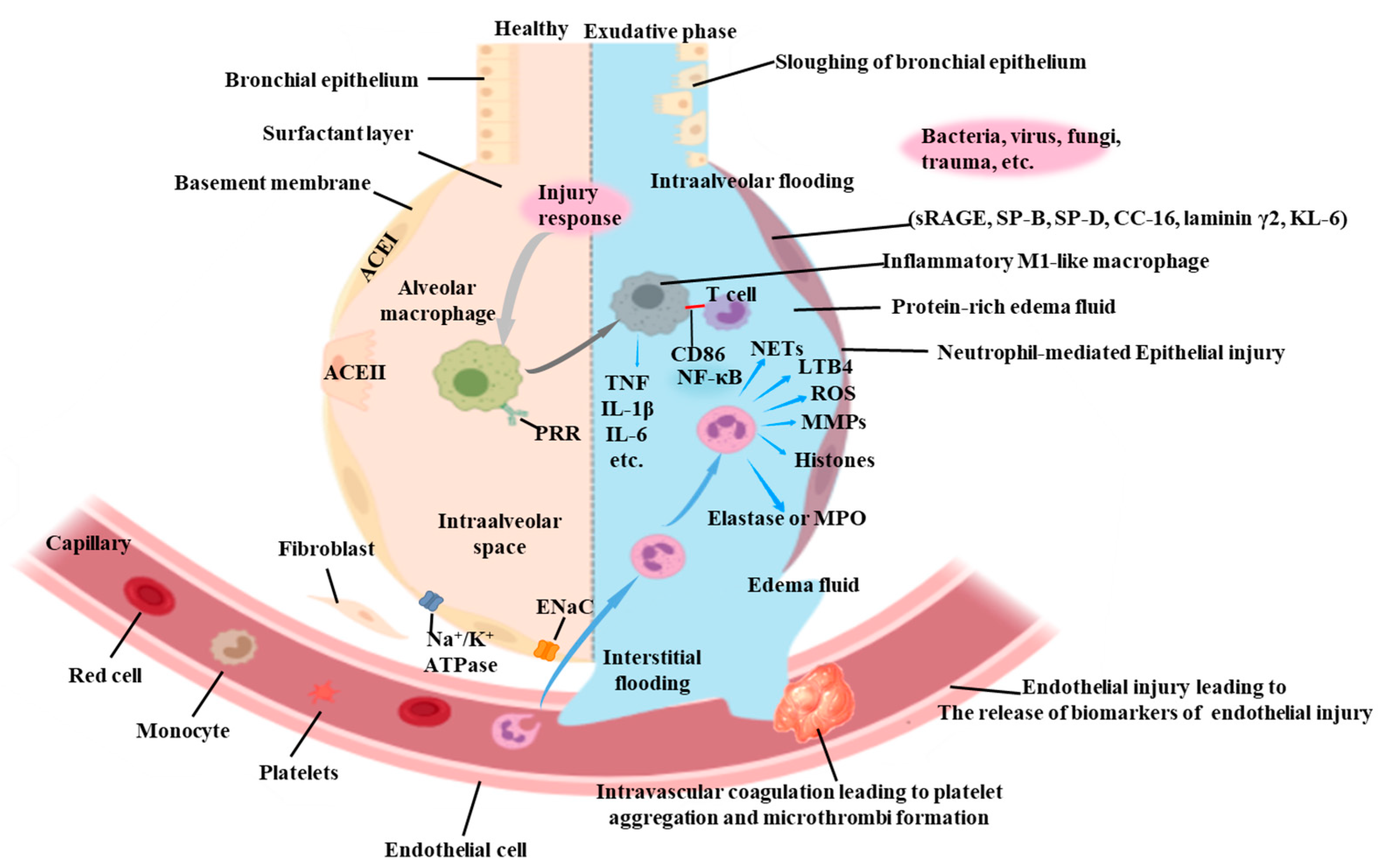 Pharmaceuticals 17 00472 g001
