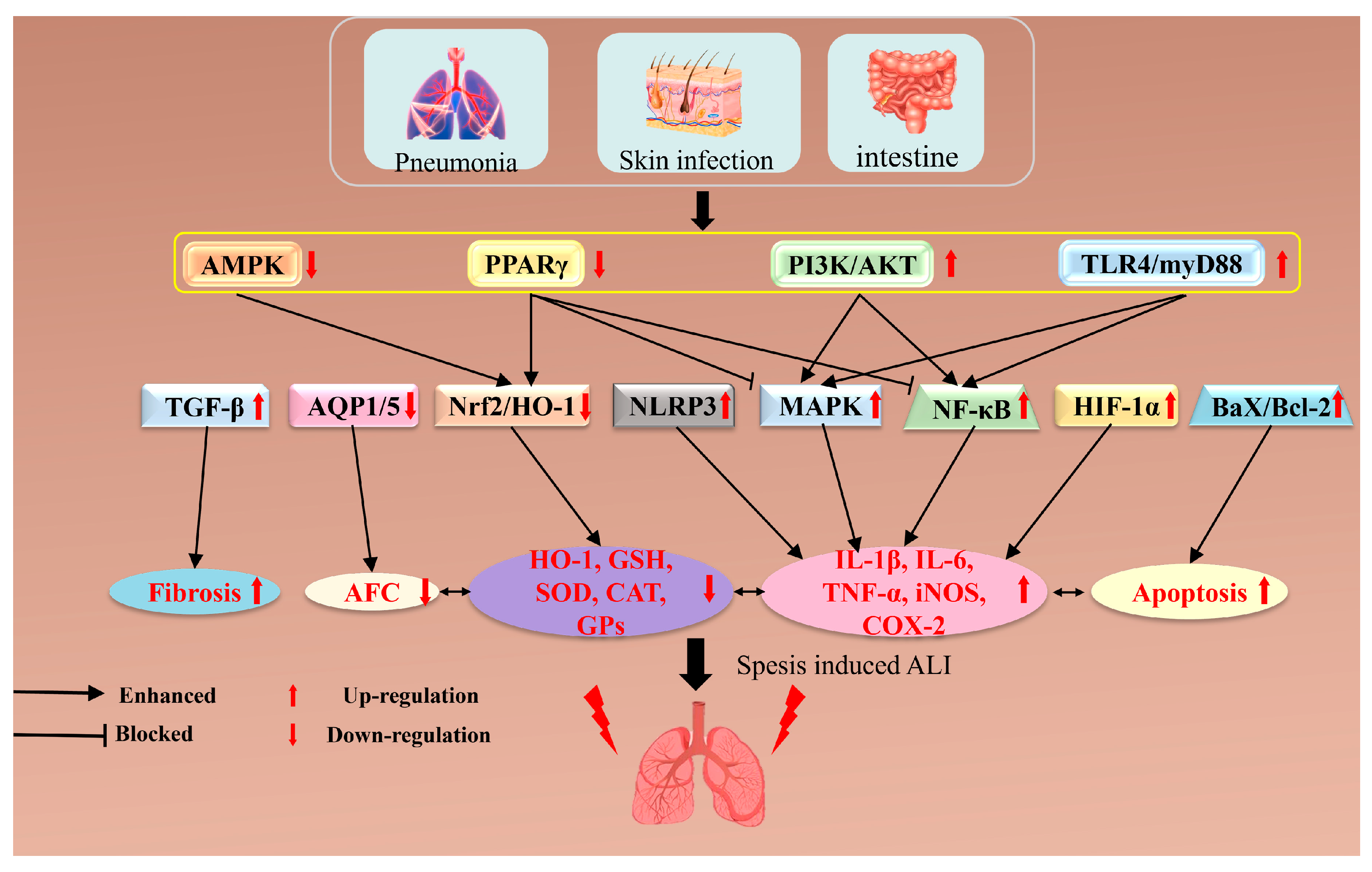 Pharmaceuticals 17 00472 g002