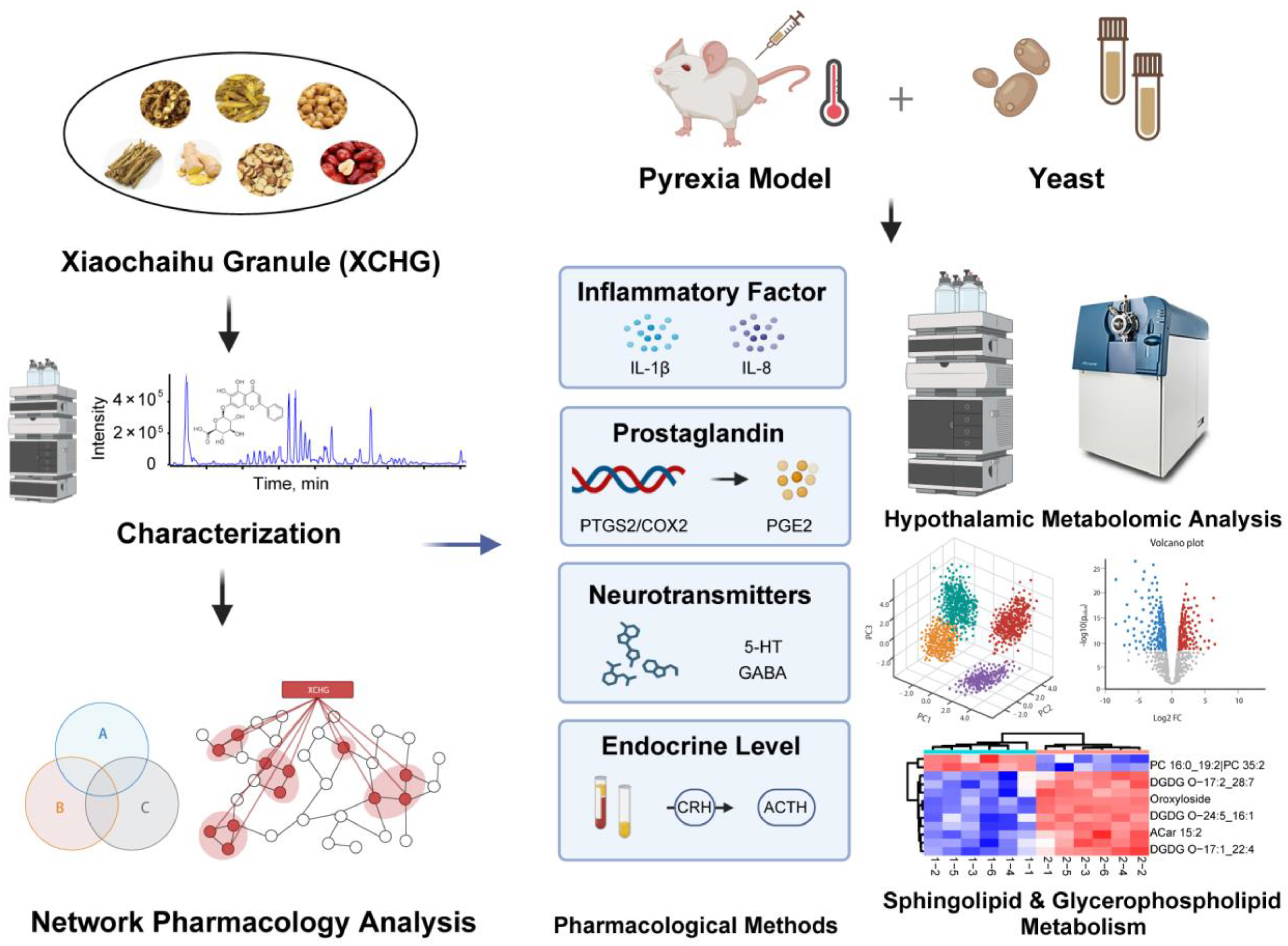 Pharmaceuticals 17 00475 g001