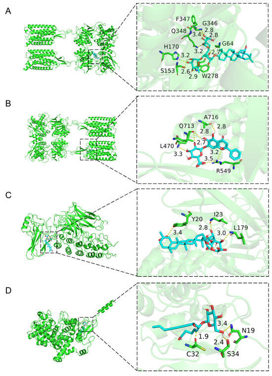 Unraveling the Mechanism of Xiaochaihu Granules in Alleviating