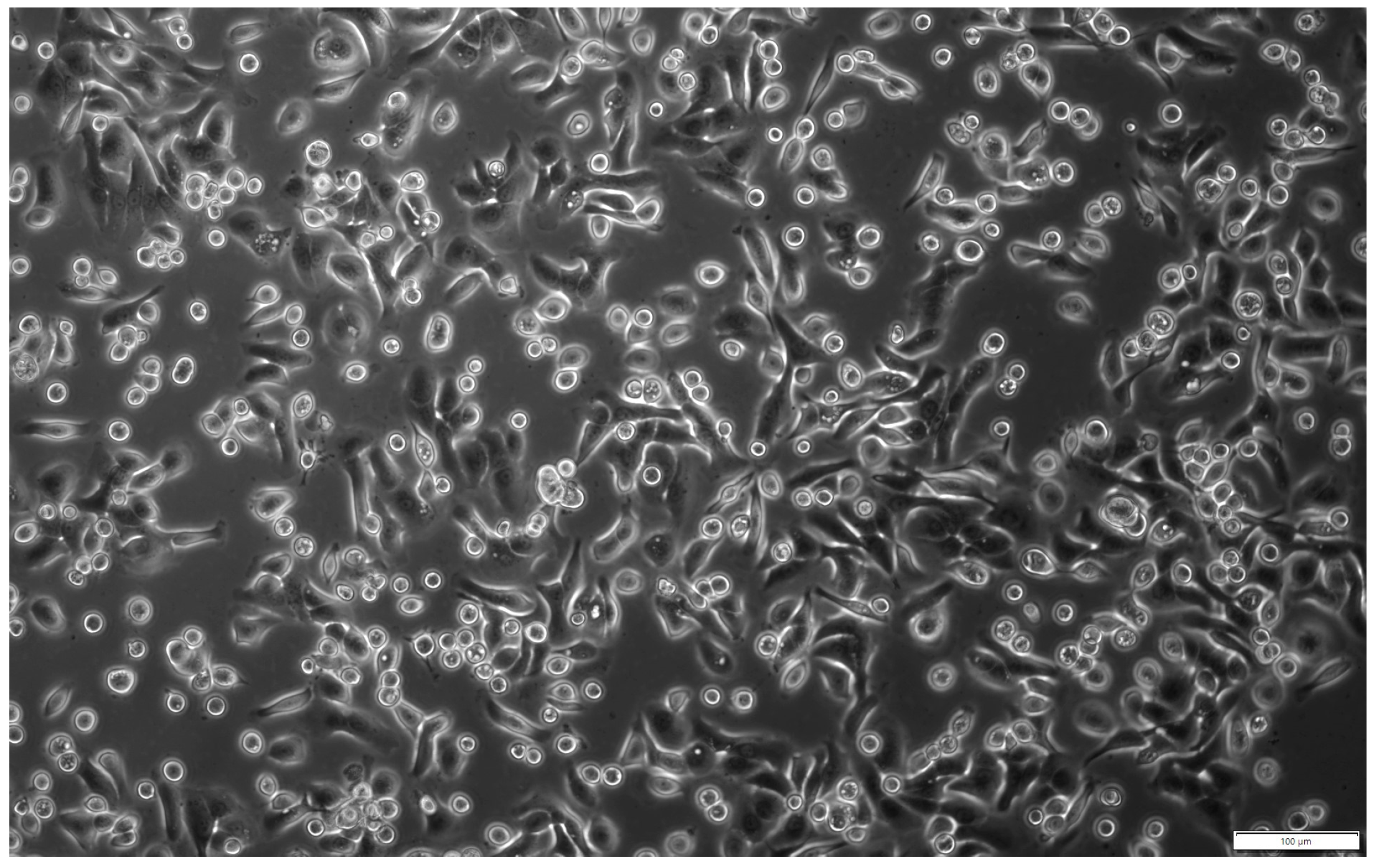 Pharmaceuticals 17 00476 g001