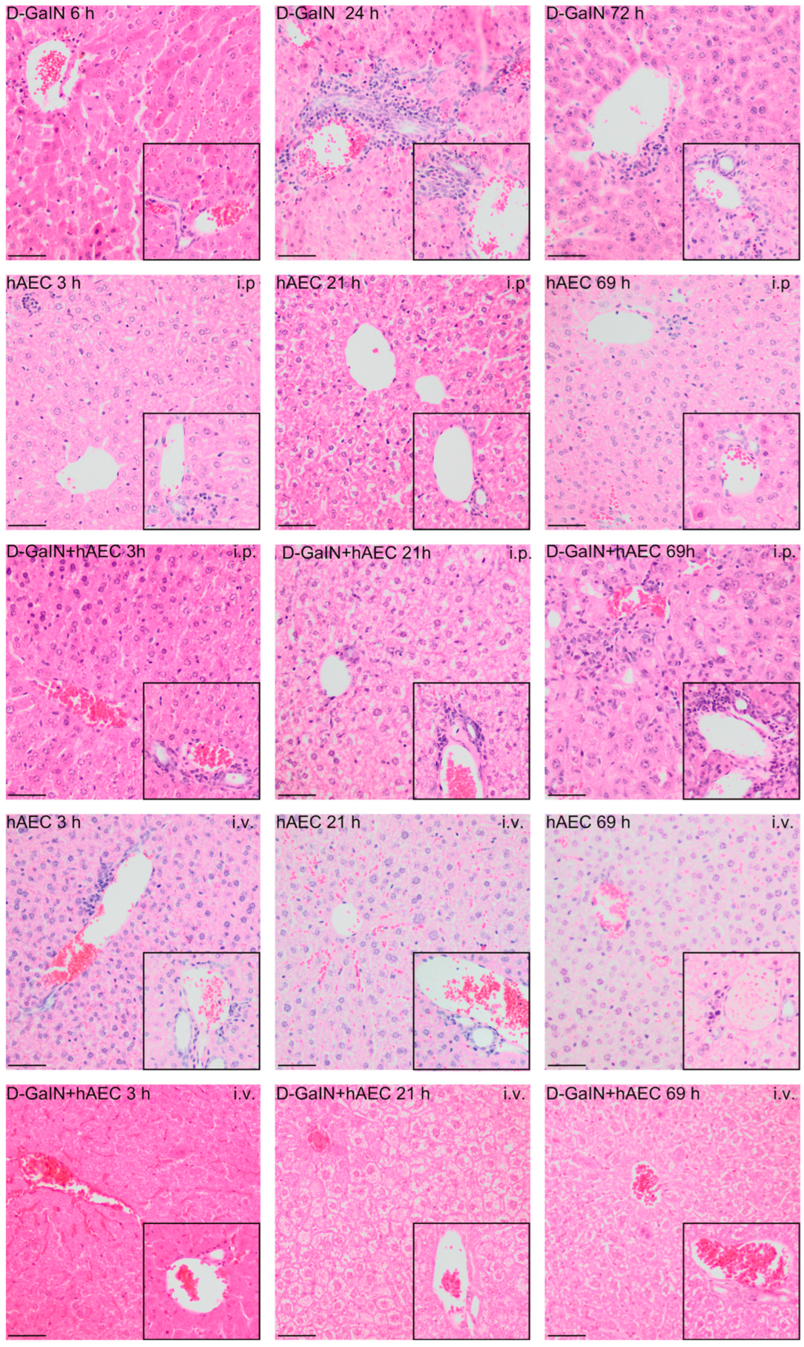 Pharmaceuticals 17 00476 g003
