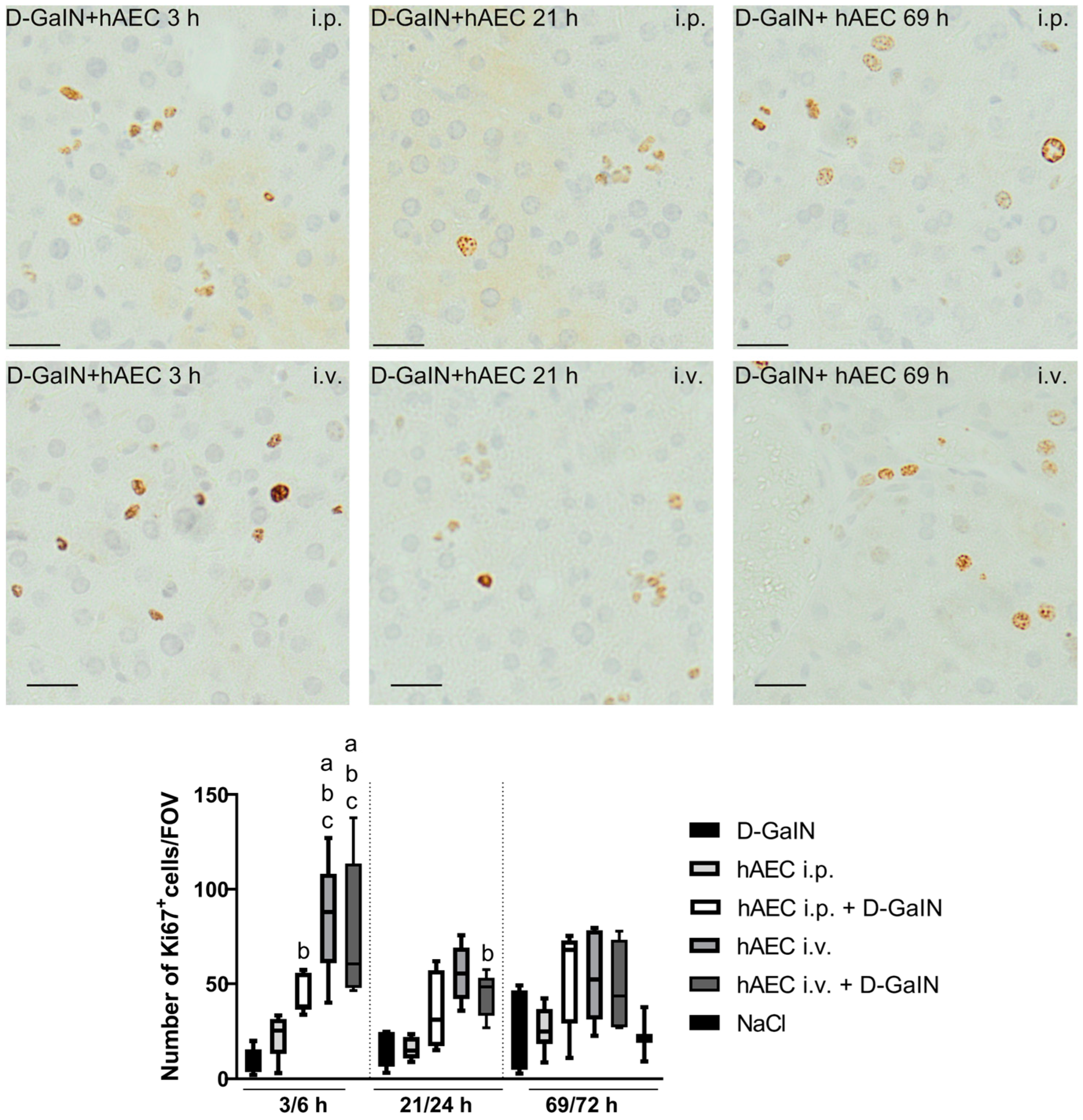 Pharmaceuticals 17 00476 g005