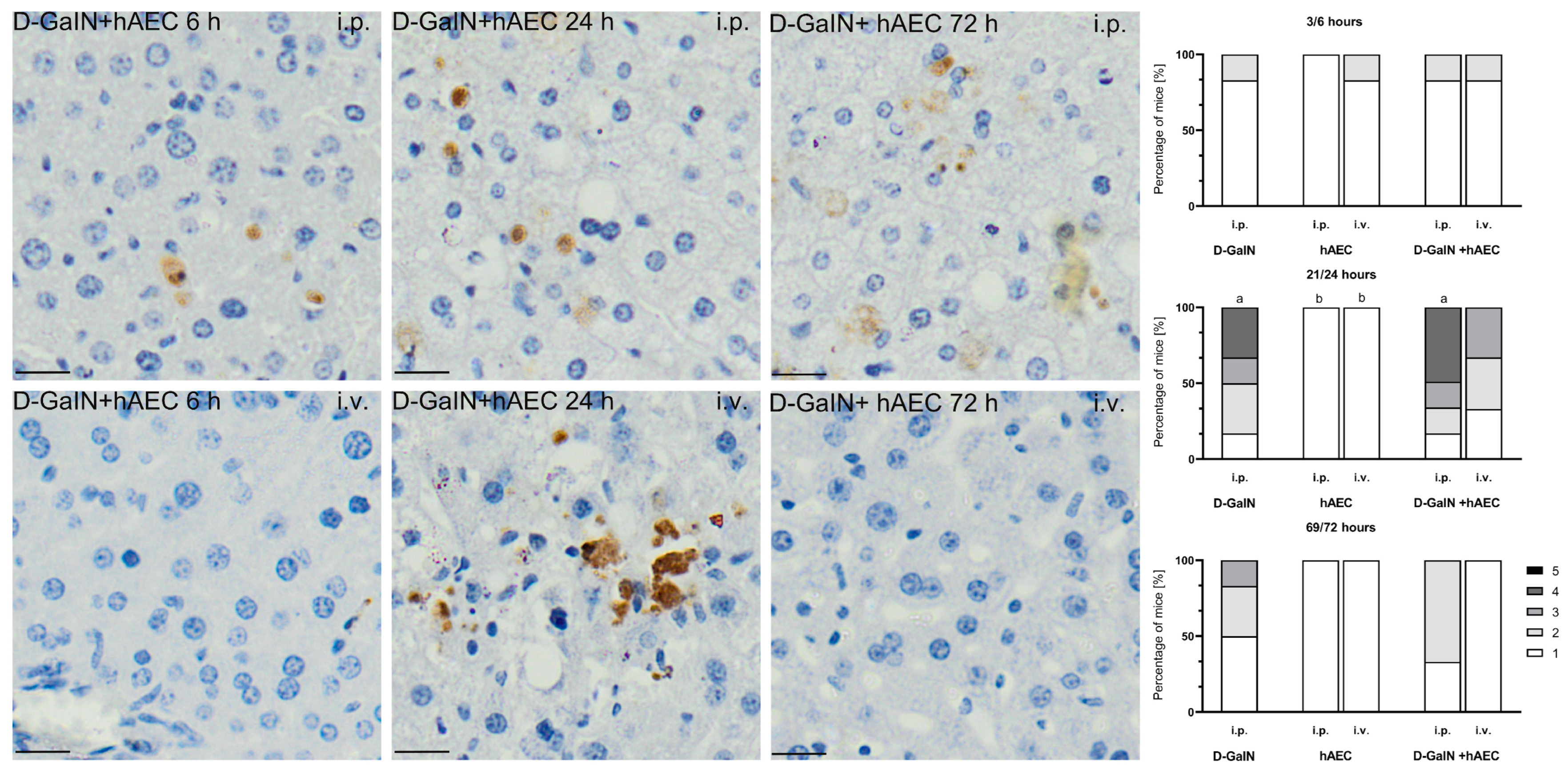 Pharmaceuticals 17 00476 g006