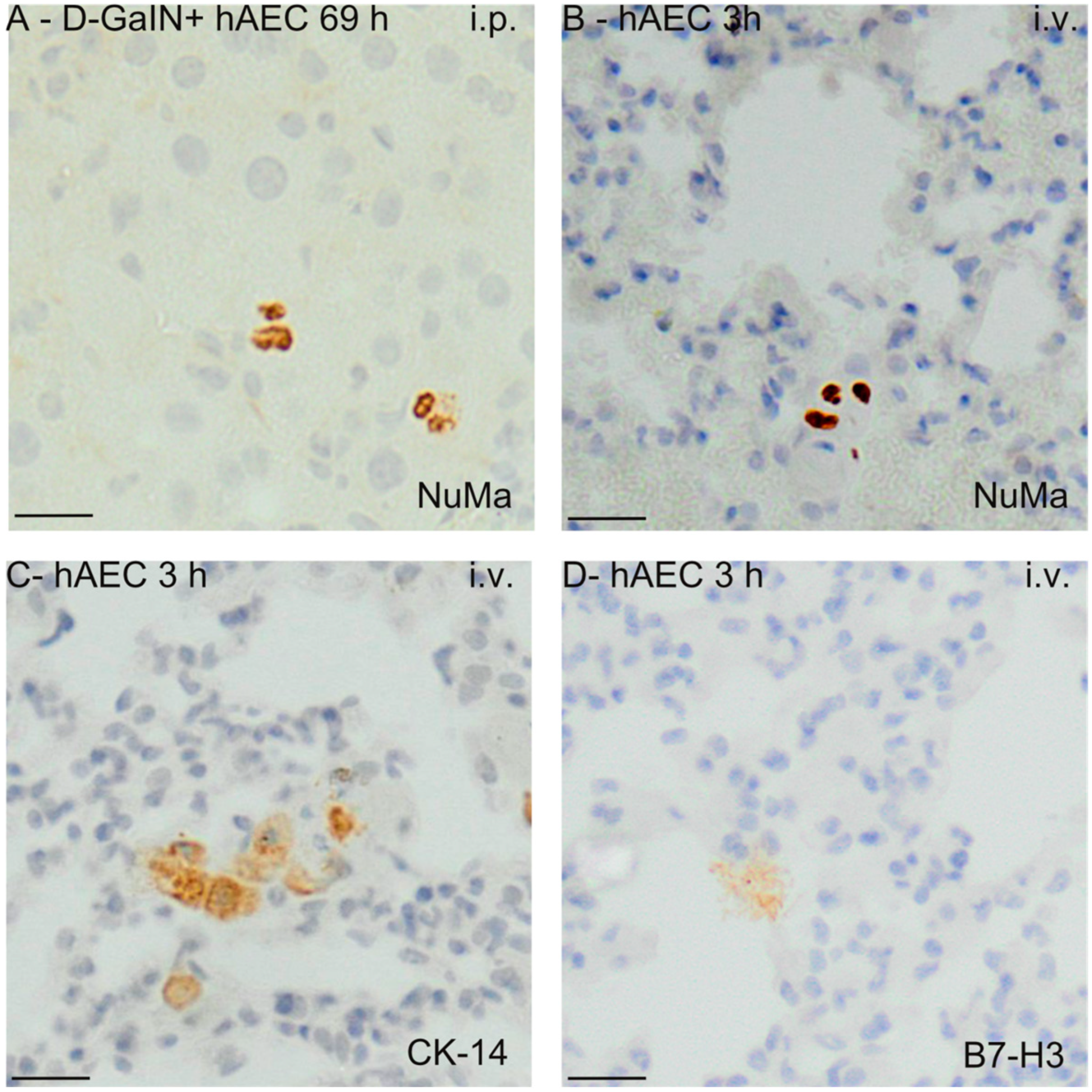 Pharmaceuticals 17 00476 g007