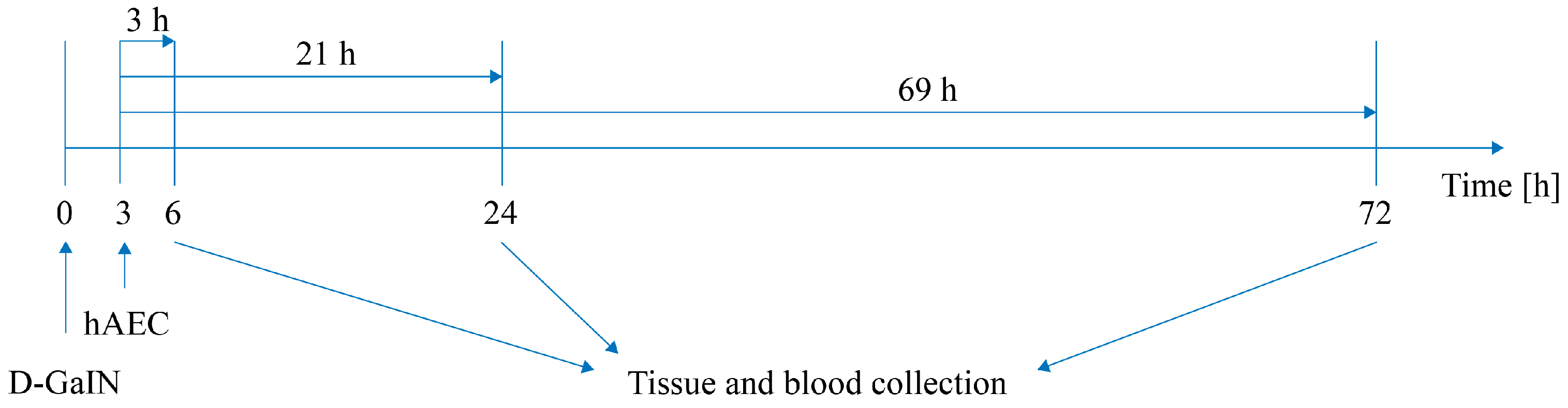 Pharmaceuticals 17 00476 g009