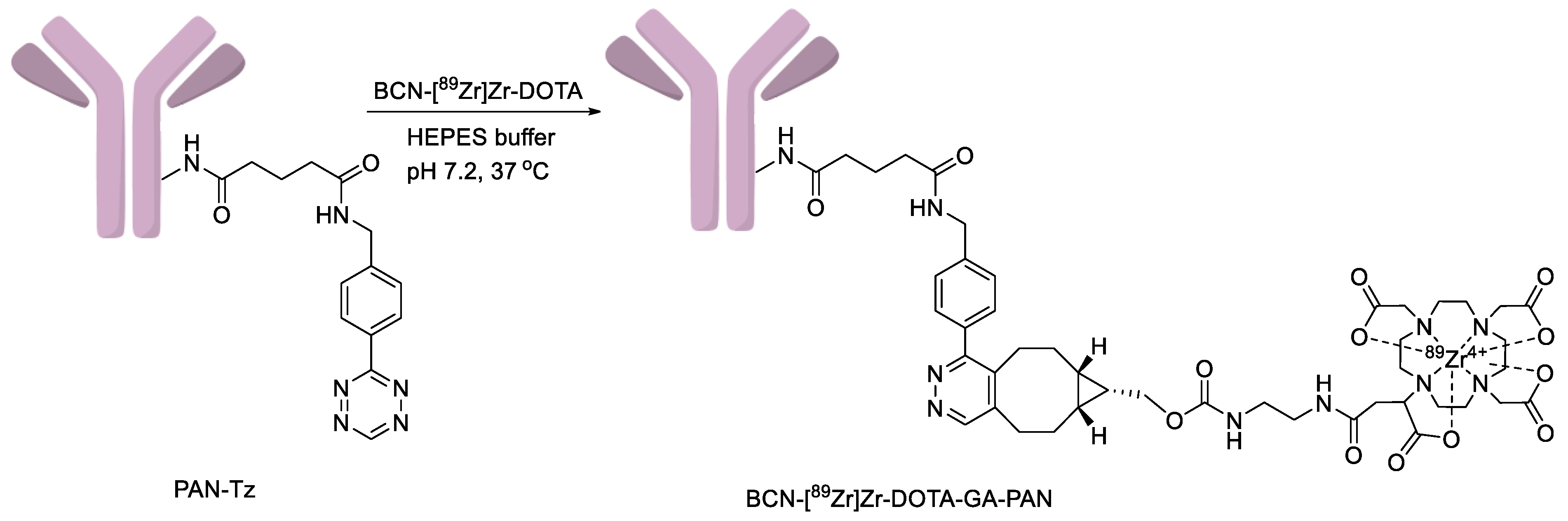 Pharmaceuticals 17 00480 sch002