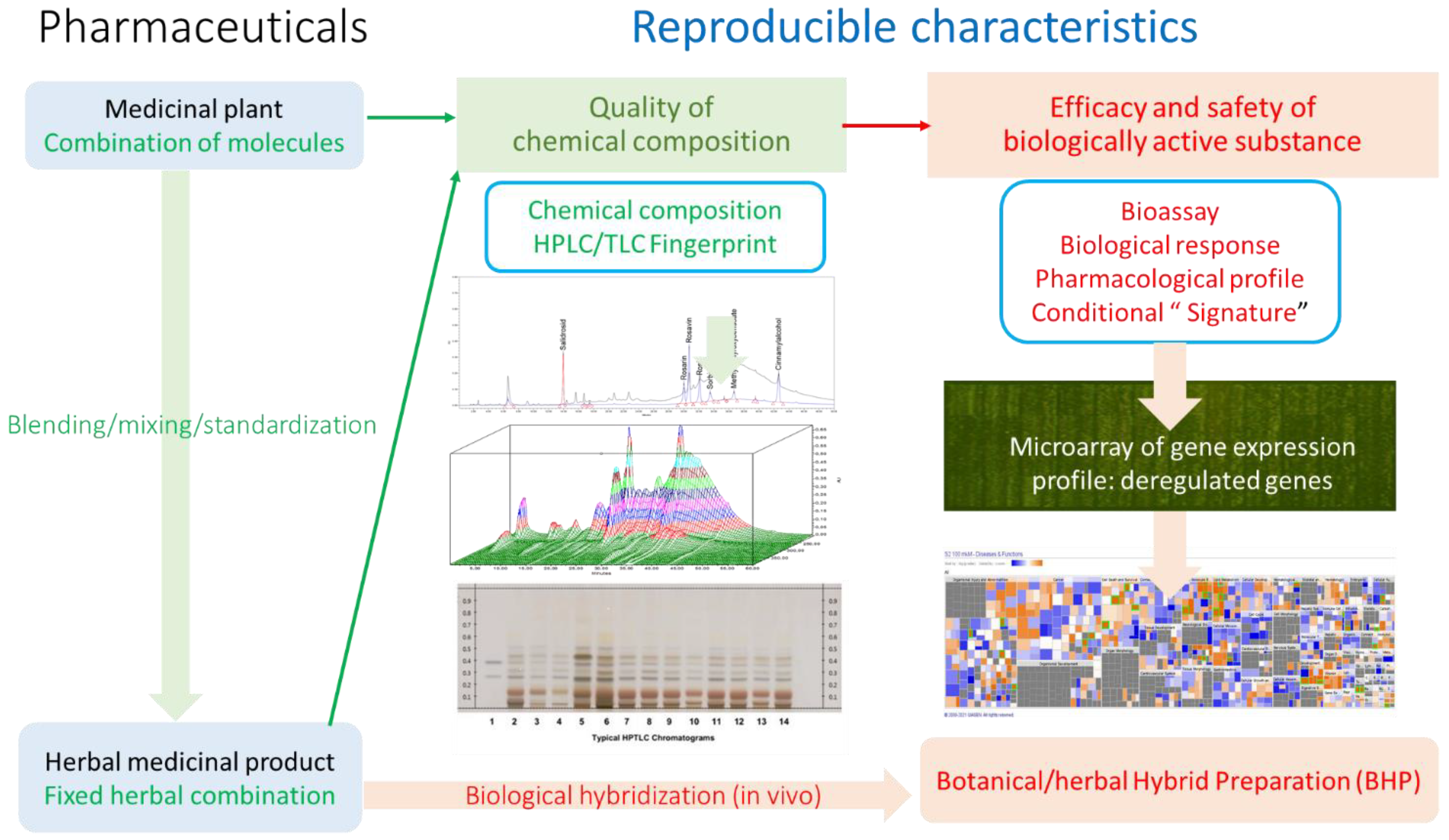Pharmaceuticals 17 00483 g002