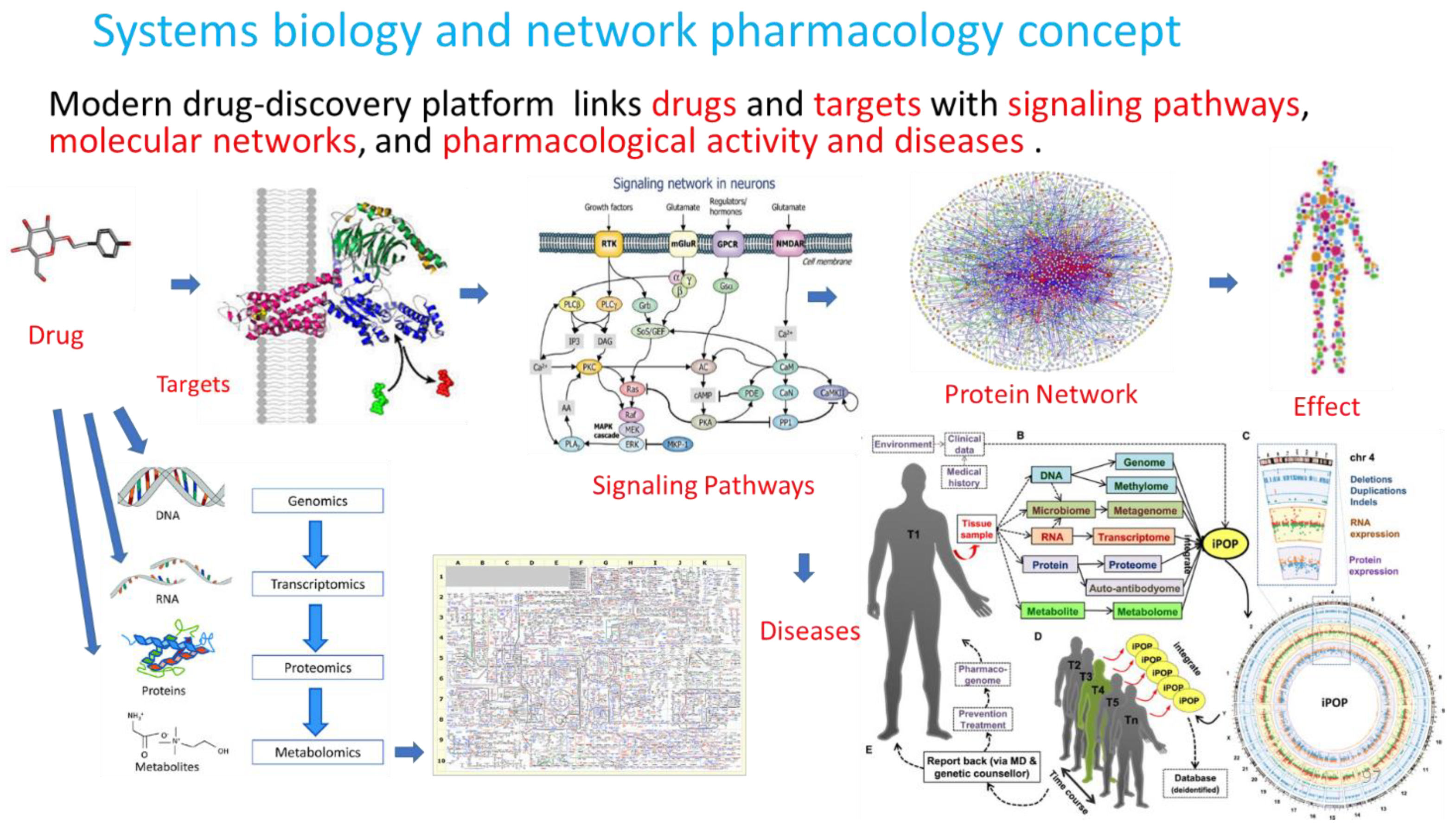 Pharmaceuticals 17 00483 g003