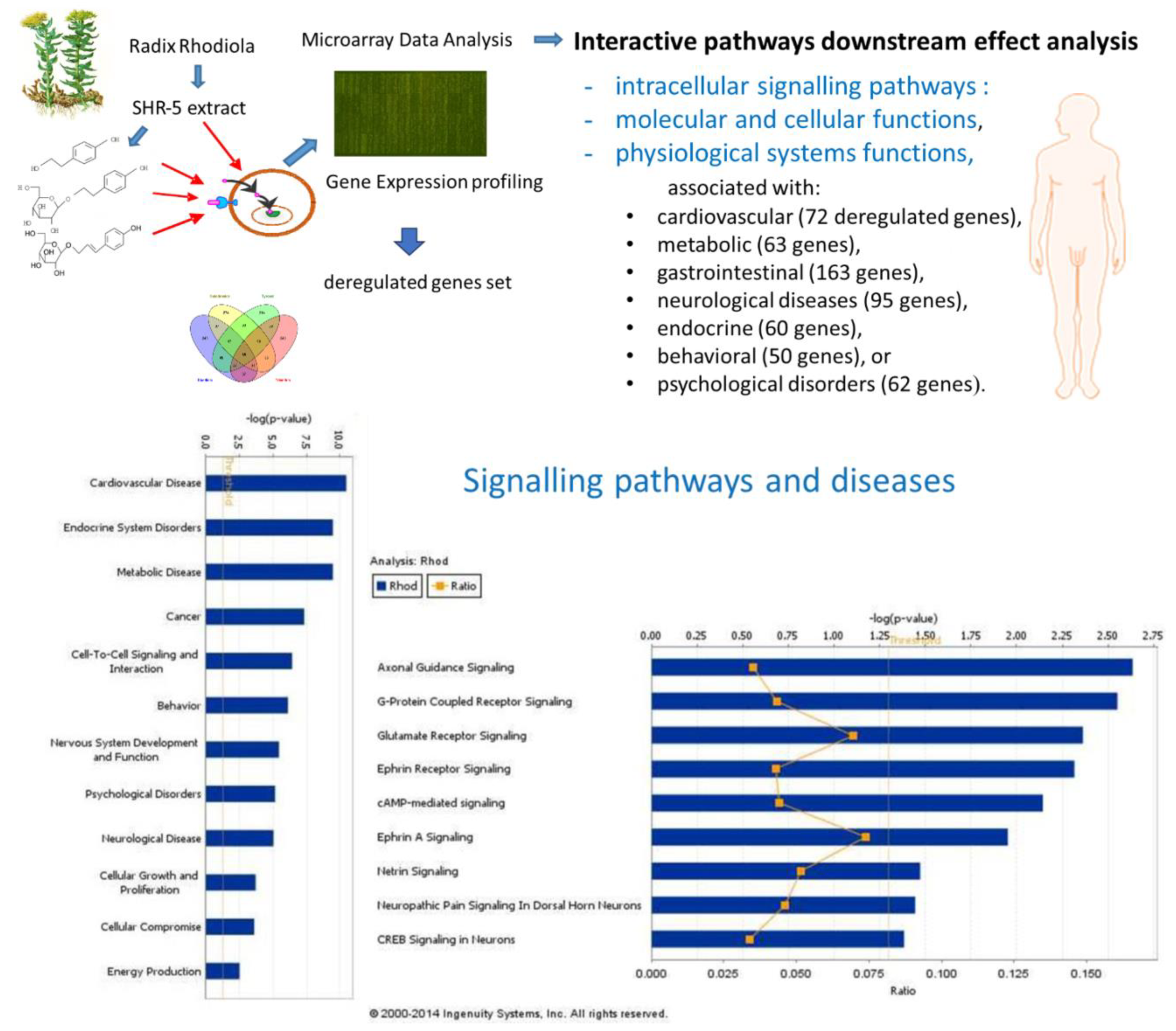 Pharmaceuticals 17 00483 g006