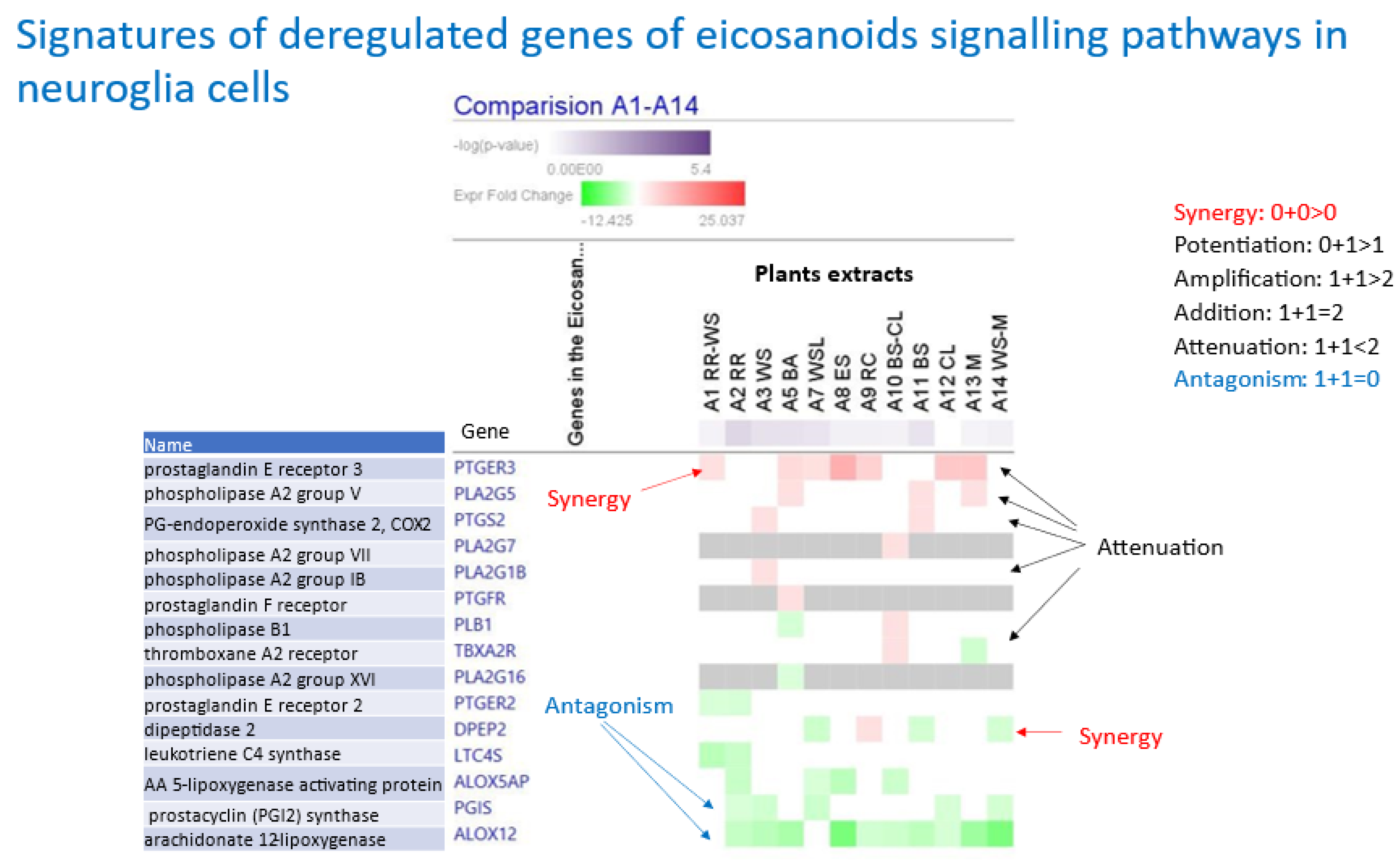 Pharmaceuticals 17 00483 g007
