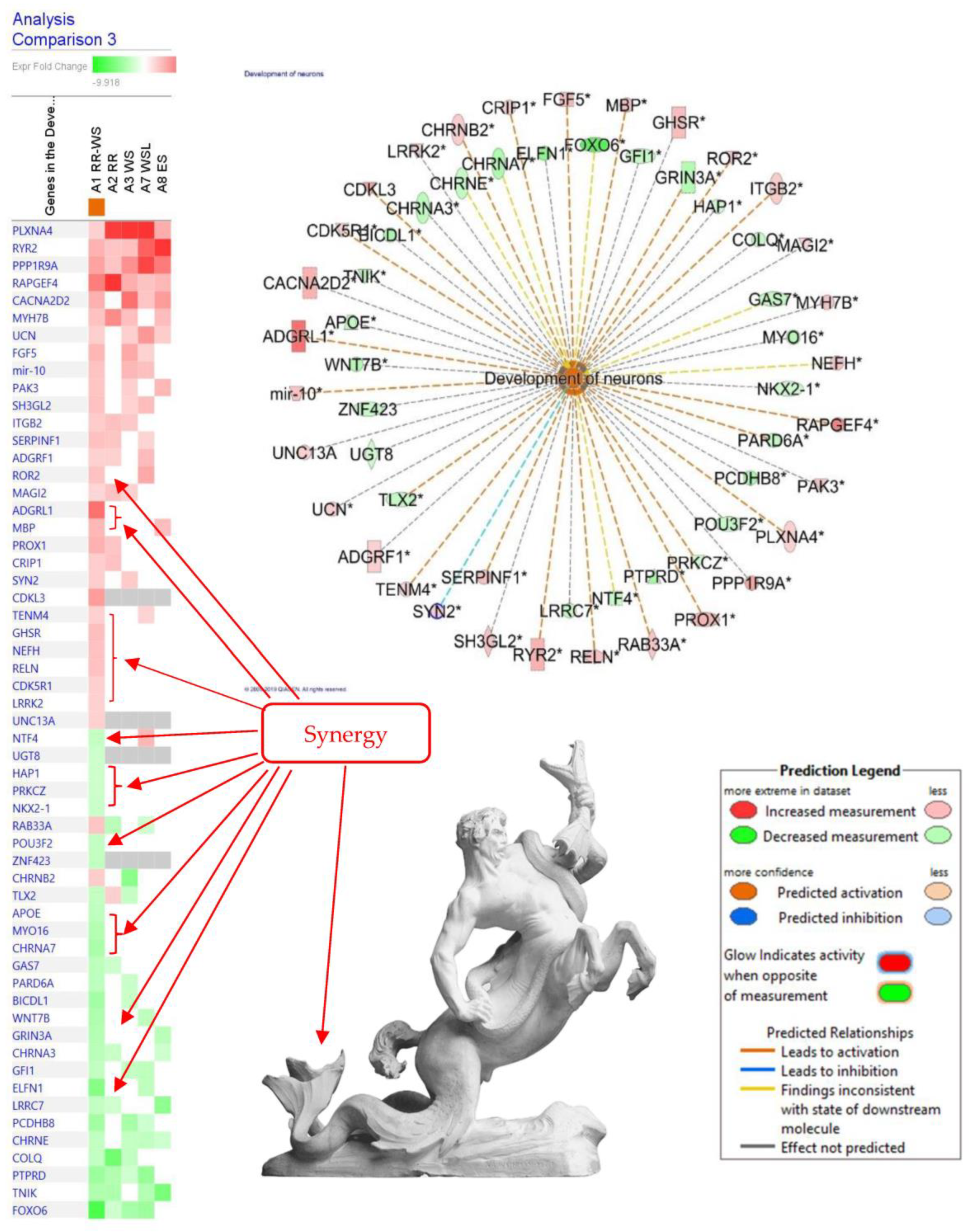 Pharmaceuticals 17 00483 g008