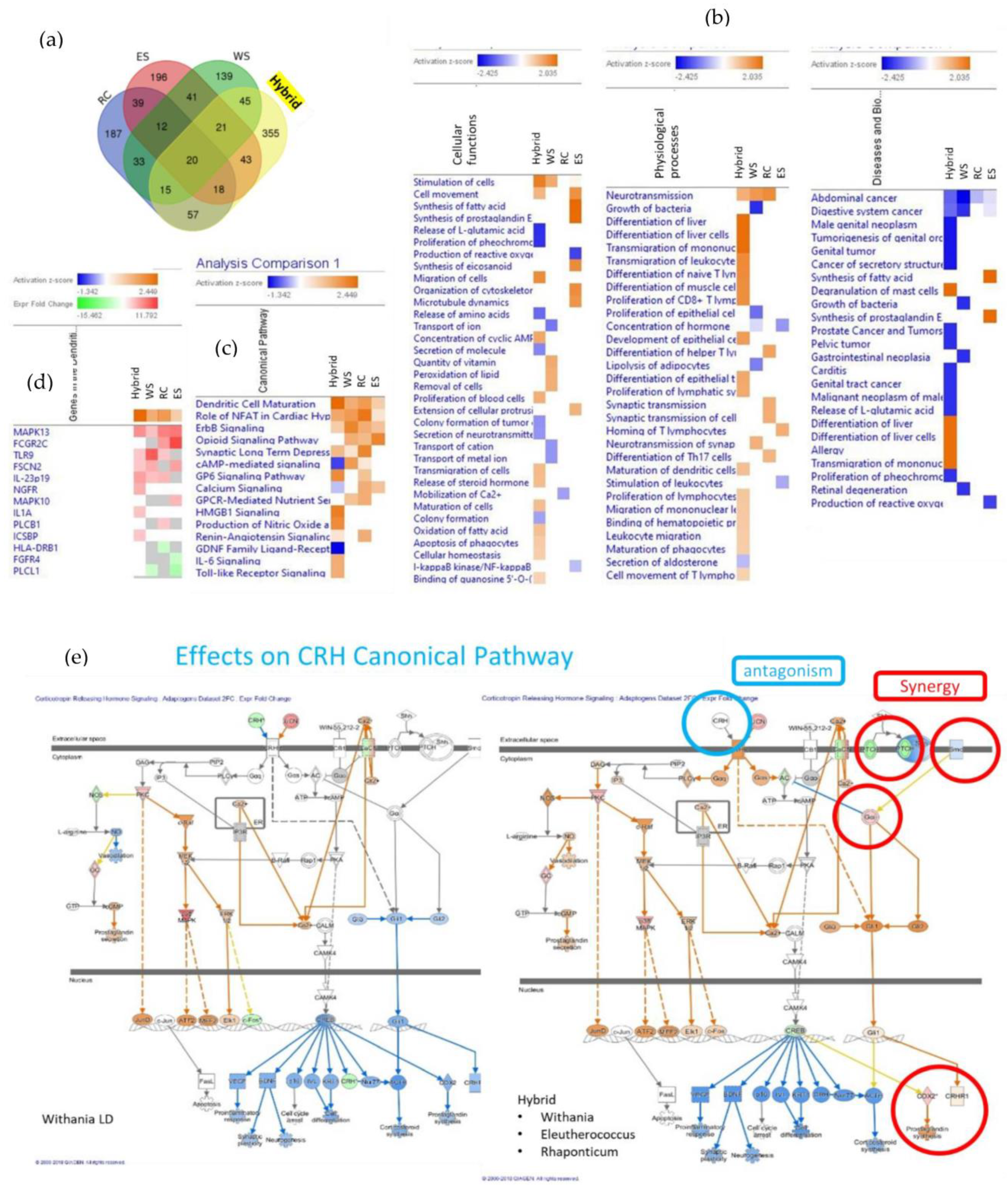 Pharmaceuticals 17 00483 g009